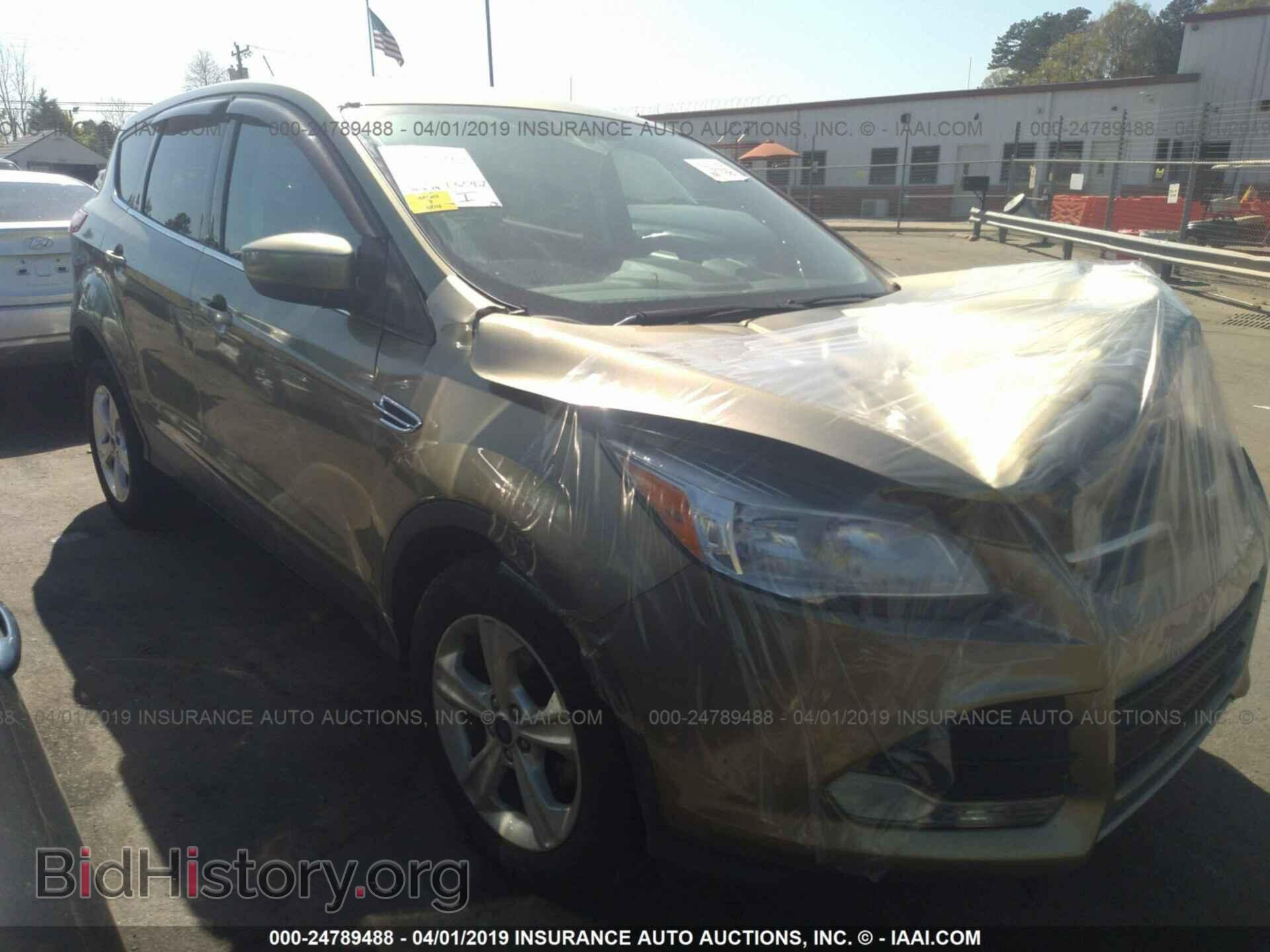 Photo 1FMCU0GX5DUB28362 - FORD ESCAPE 2013