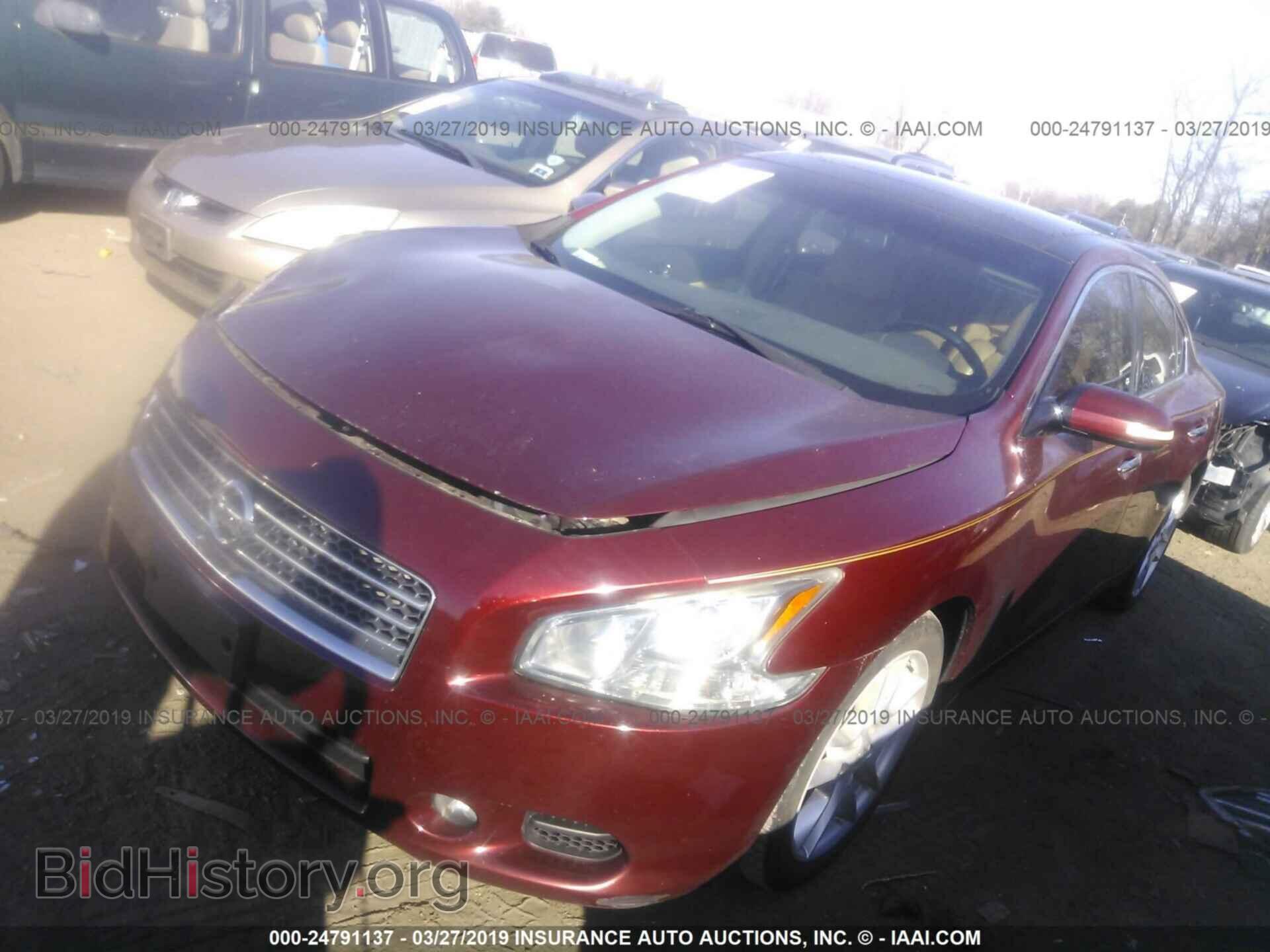 2010 NISSAN MAXIMA - VIN: 1N4AA5AP3AC815454 - Фото 2