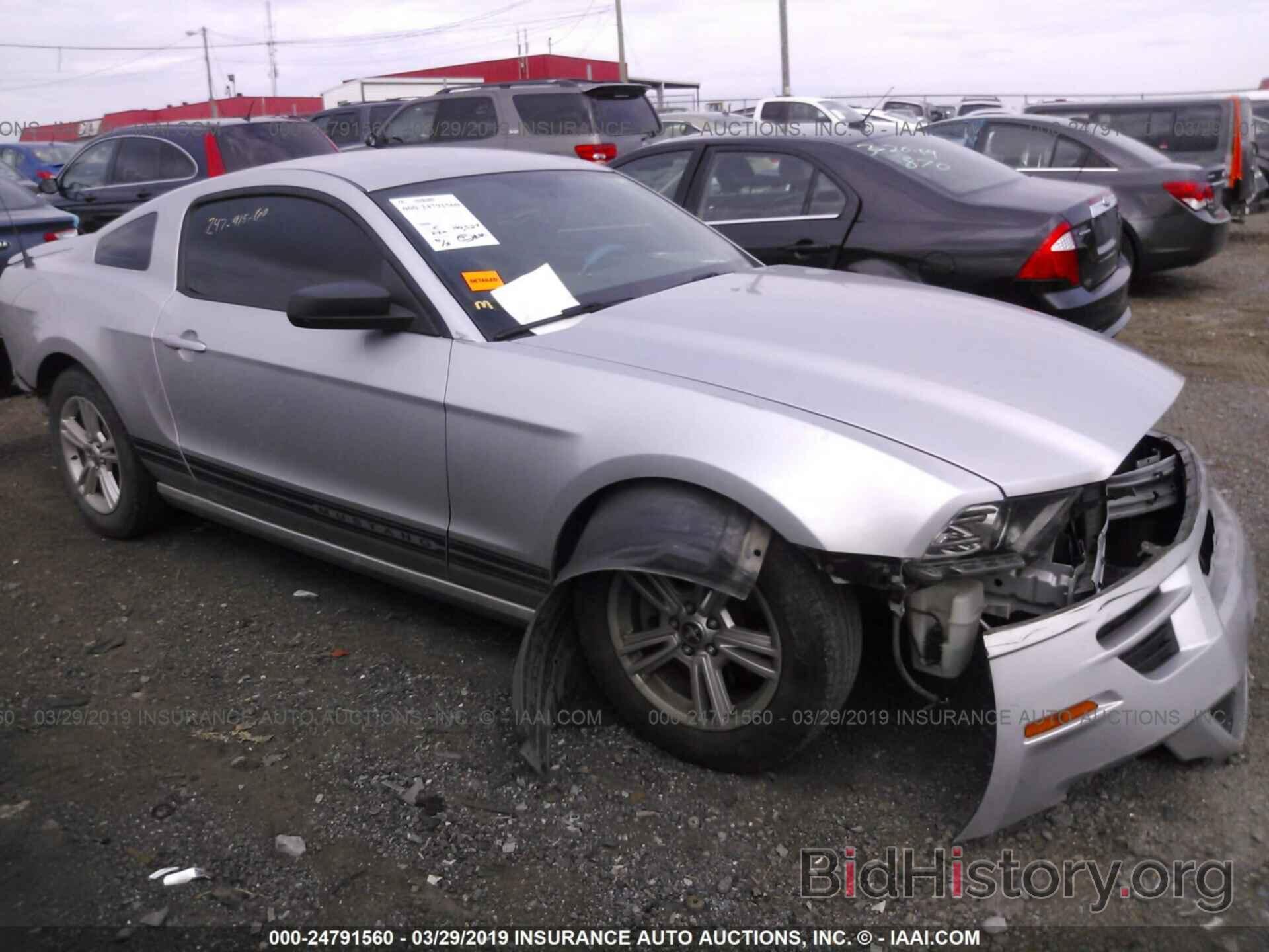 Photo 1ZVBP8AMXD5259430 - FORD MUSTANG 2013