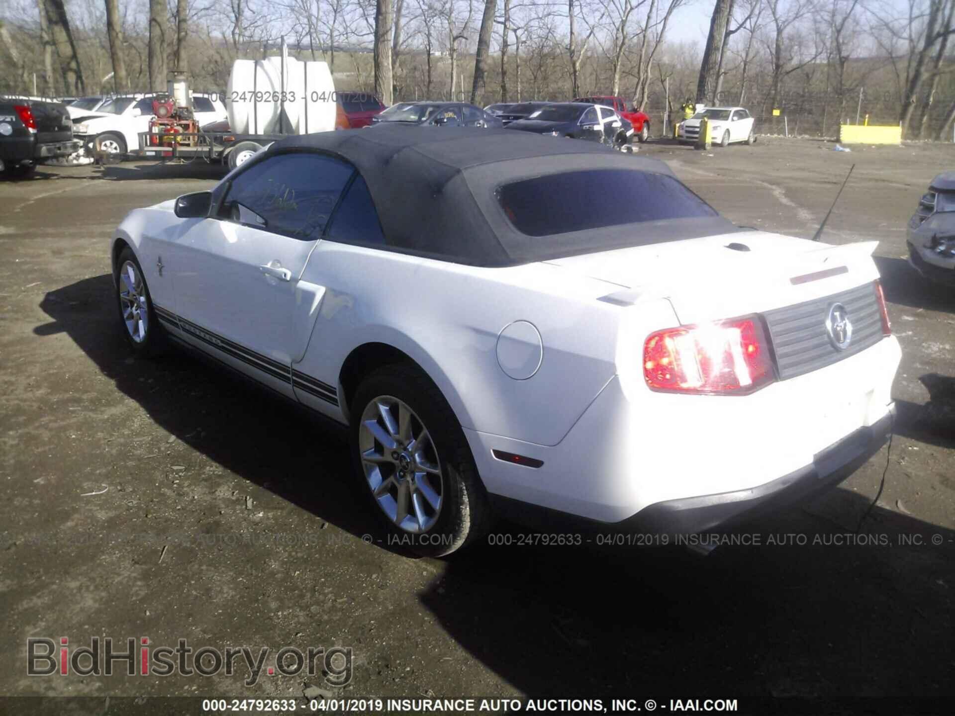 2011 FORD MUSTANG - VIN: 1ZVBP8EM8B5104351 - Фото 3