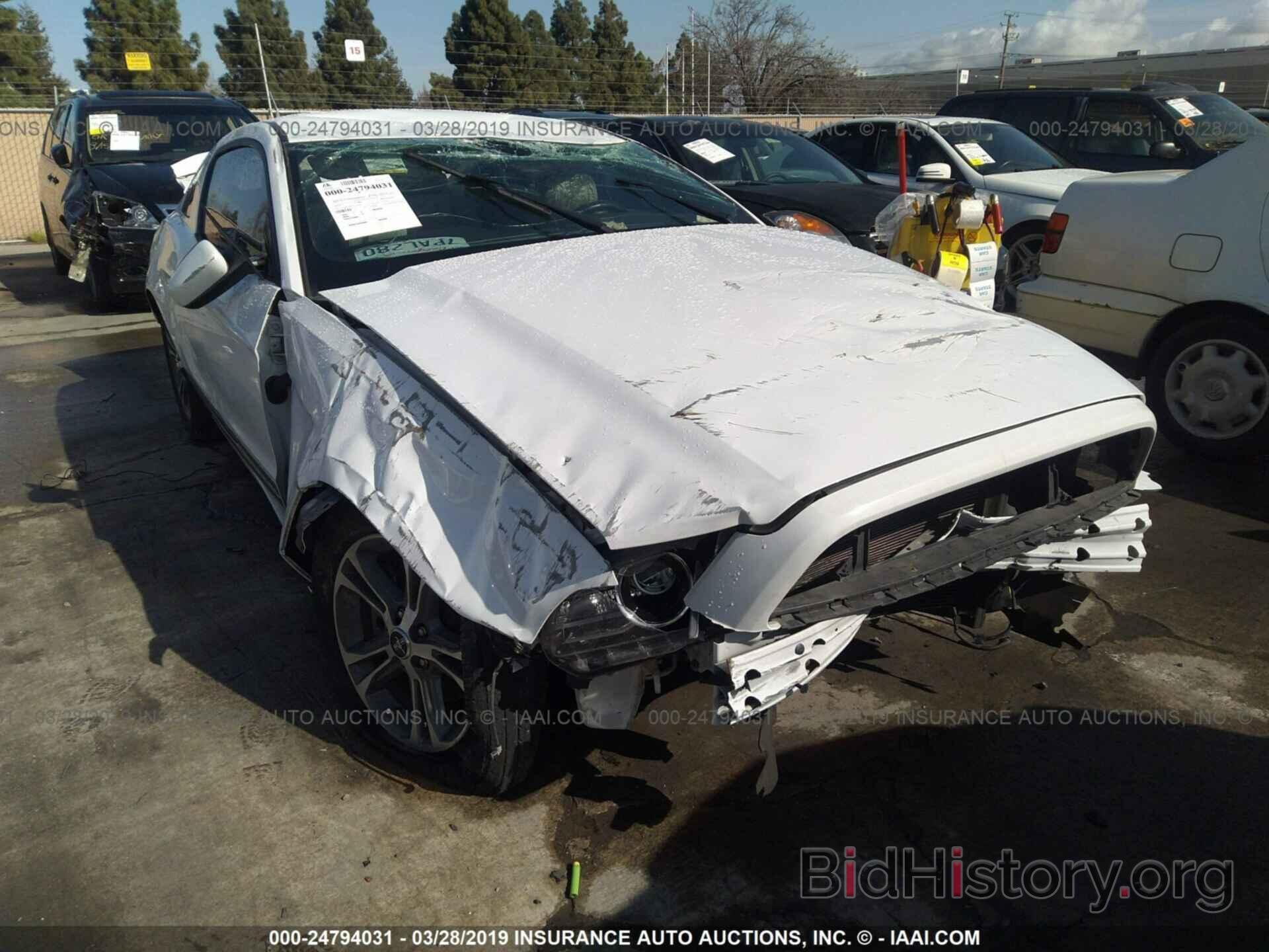 Photo 1ZVBP8AM4E5292697 - FORD MUSTANG 2014