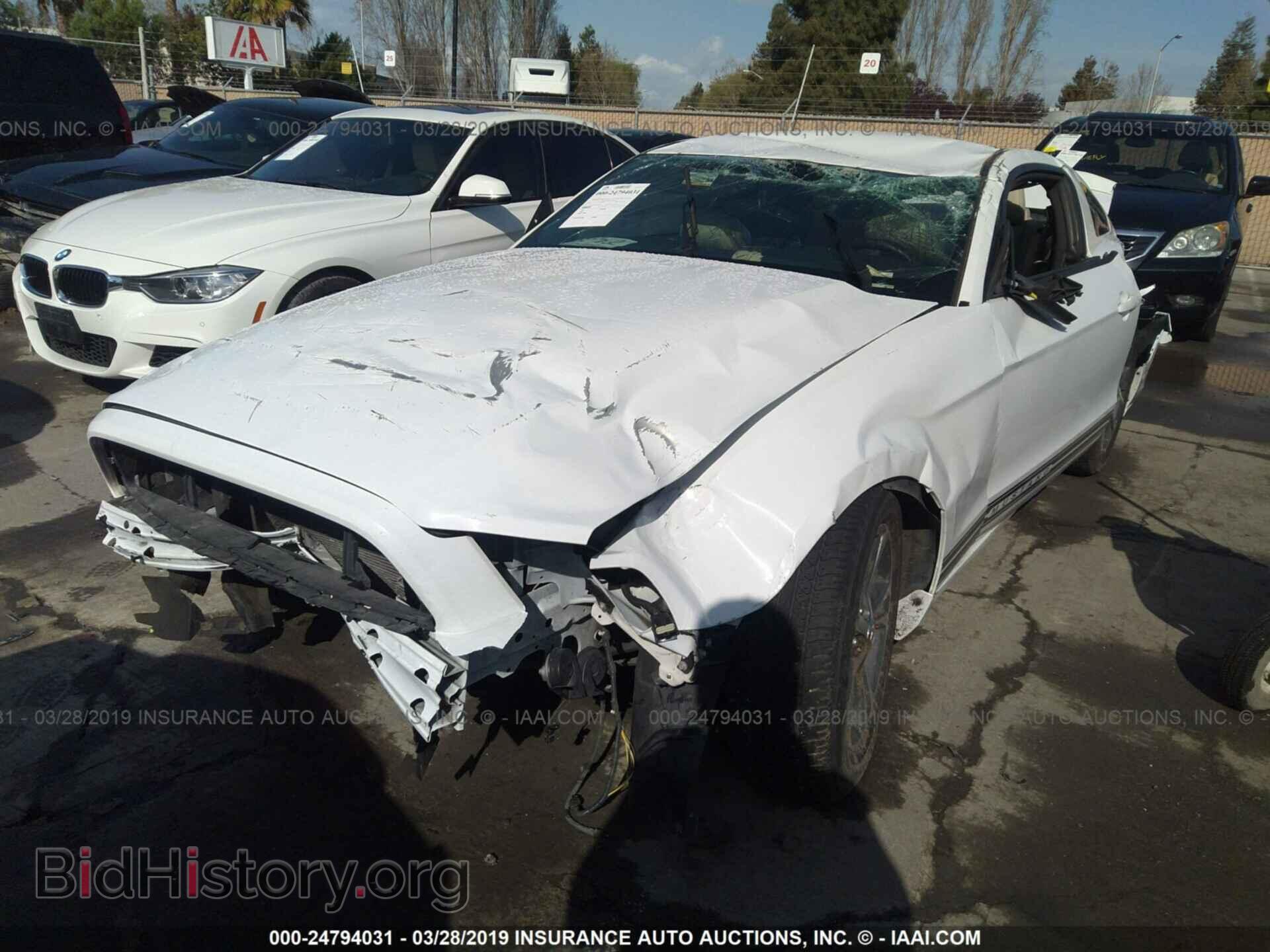 2014 FORD MUSTANG - VIN: 1ZVBP8AM4E5292697 - Фото 2