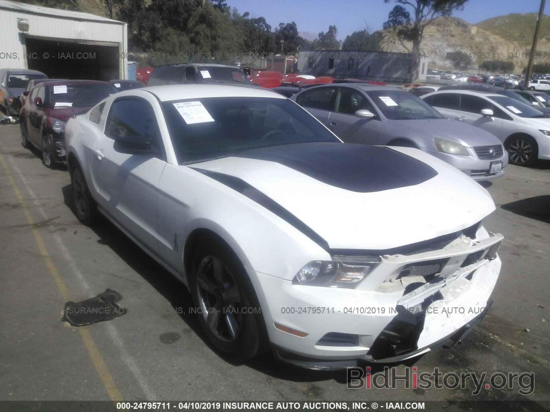 Photo 1ZVBP8AM8C5262258 - FORD MUSTANG 2012
