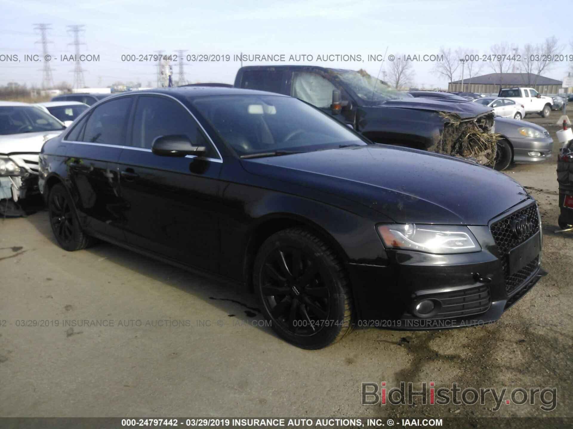Фотография WAUFFAFL9AN036044 - AUDI A4 2010