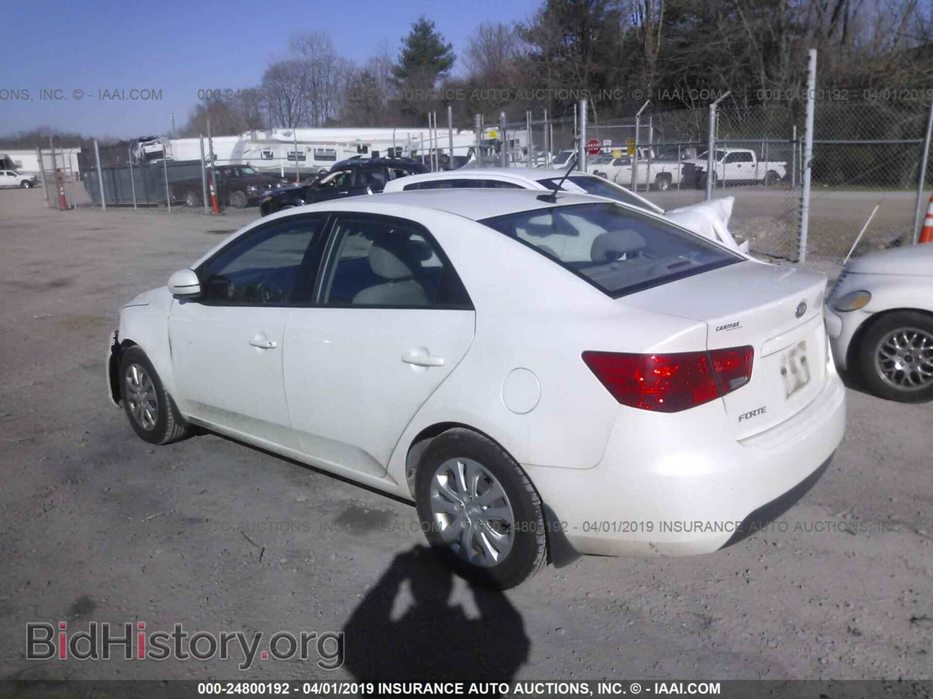 2012 KIA FORTE - VIN: KNAFU4A23C5615524 - Фото 3