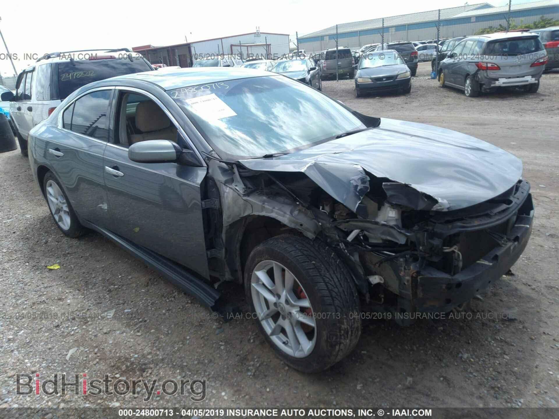 Фотография 1N4AA51E39C835388 - NISSAN MAXIMA 2009