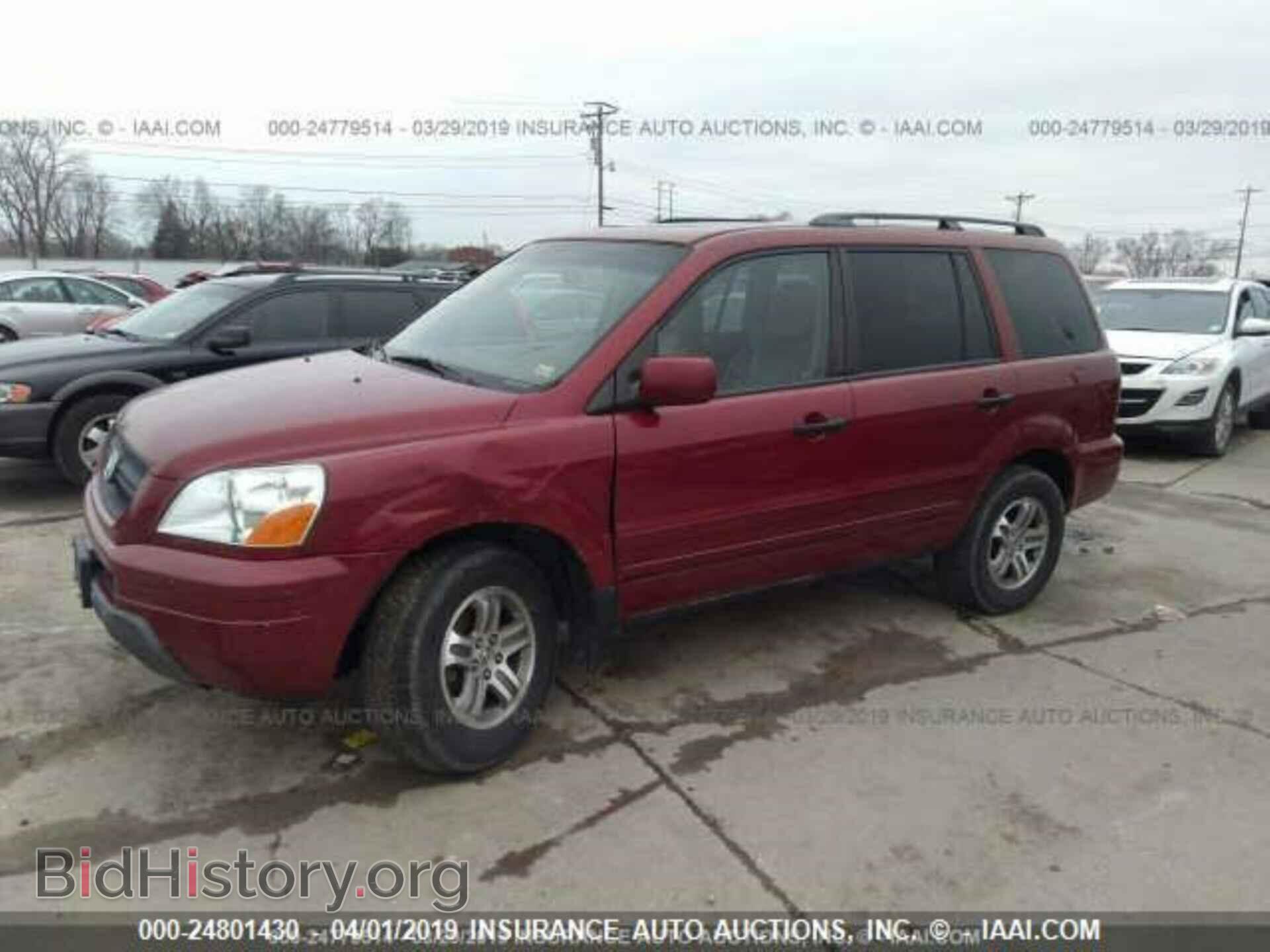 2005 HONDA PILOT - VIN: 5FNYF18645B012886 - Фото 2