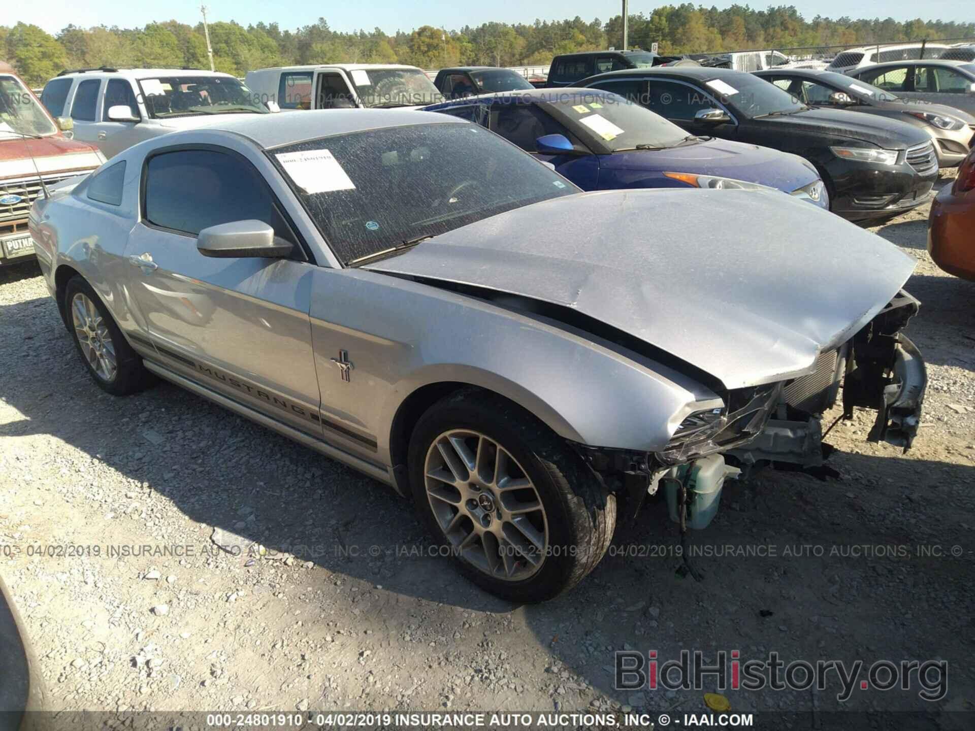 Photo 1ZVBP8AM0E5251578 - FORD MUSTANG 2014