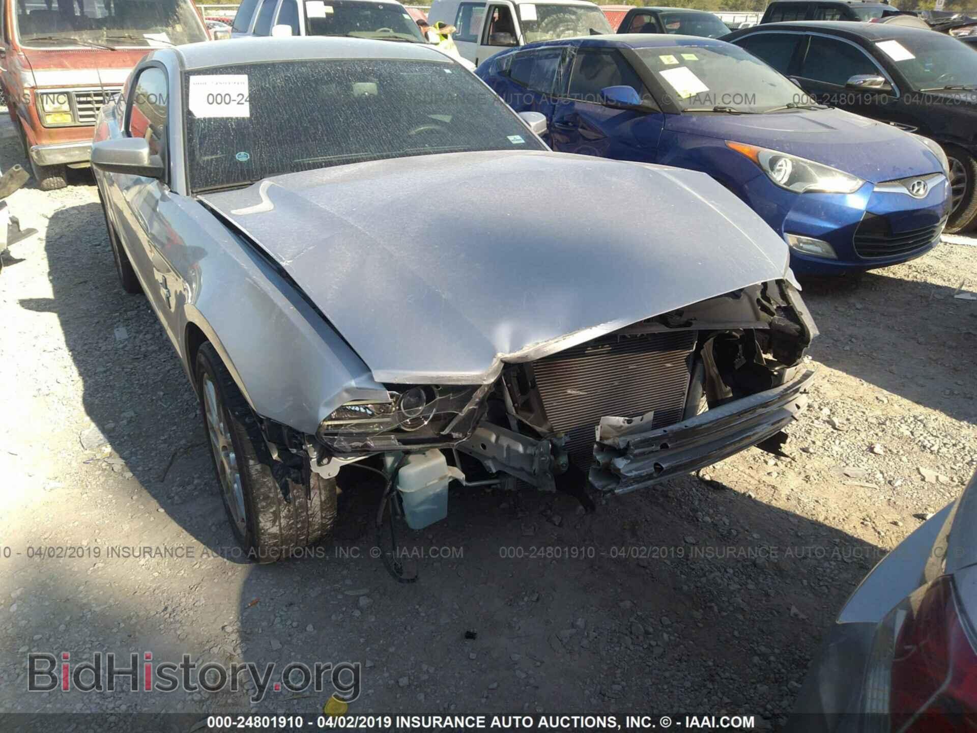 2014 FORD MUSTANG - VIN: 1ZVBP8AM0E5251578 - Фото 6