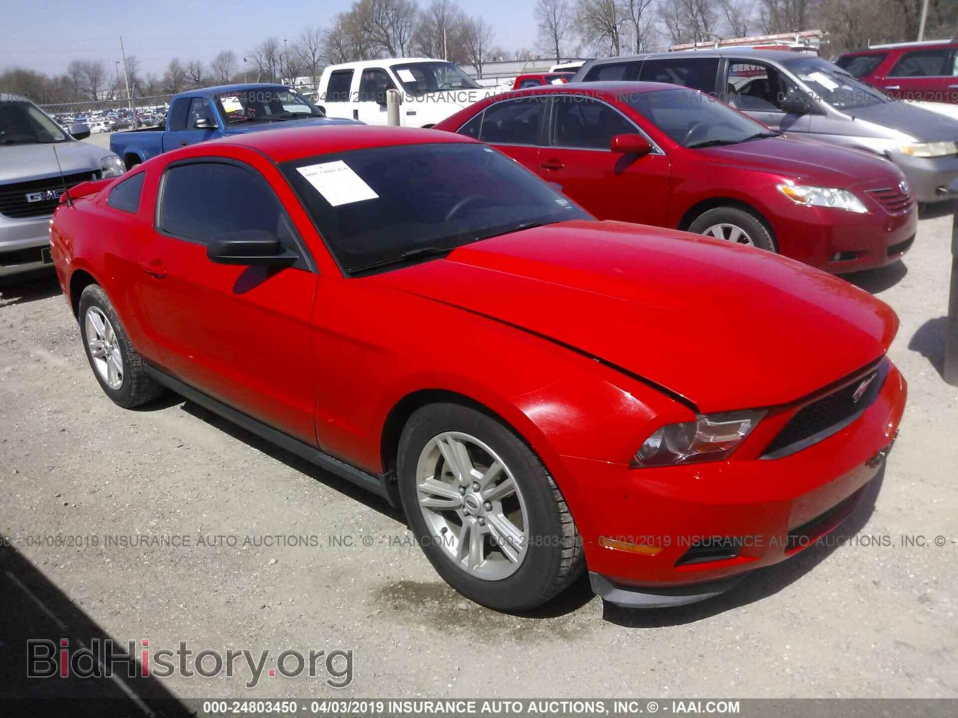 Фотография 1ZVBP8AMXC5254176 - FORD MUSTANG 2012