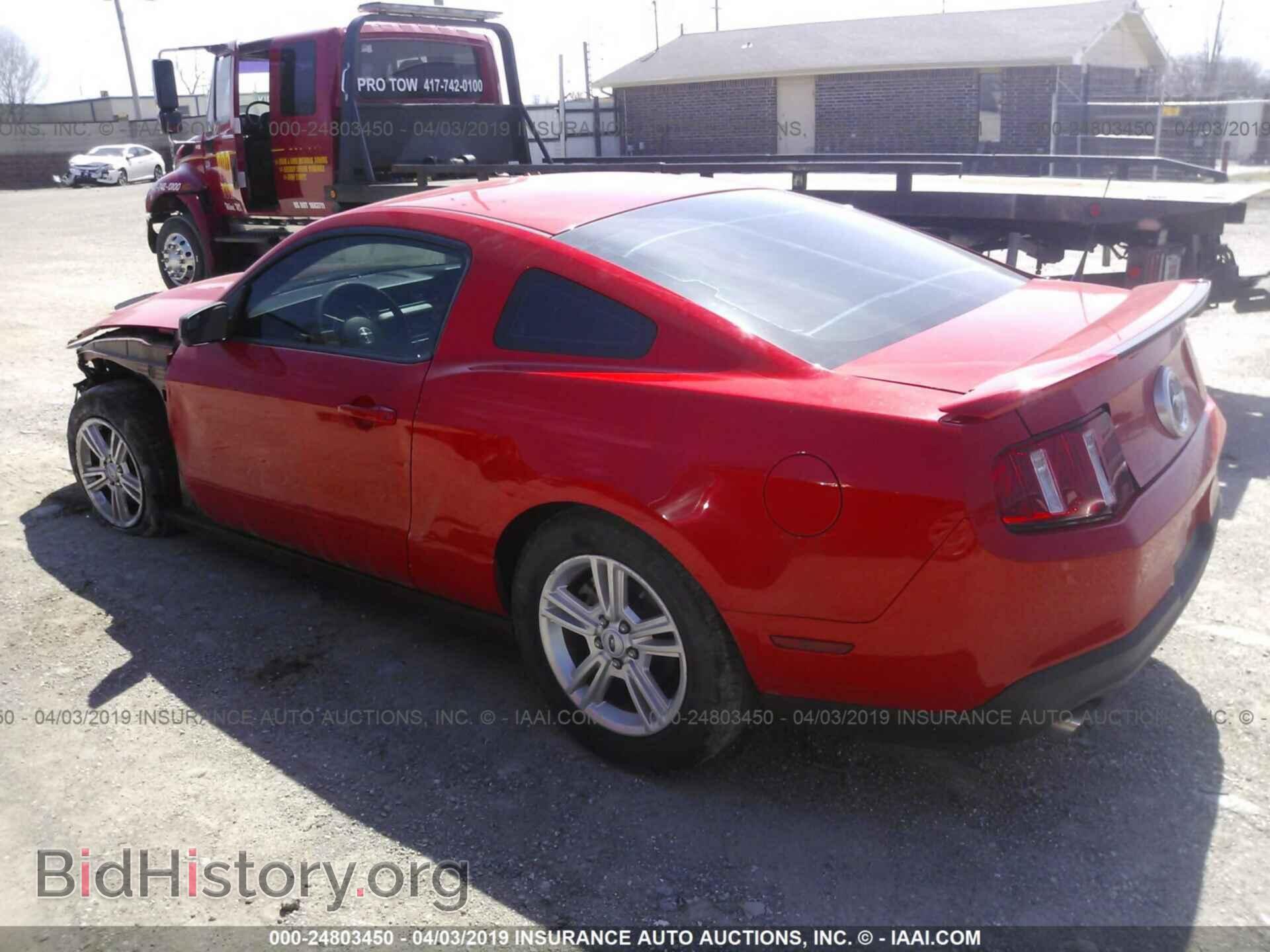 2012 FORD MUSTANG - VIN: 1ZVBP8AMXC5254176 - Фото 3