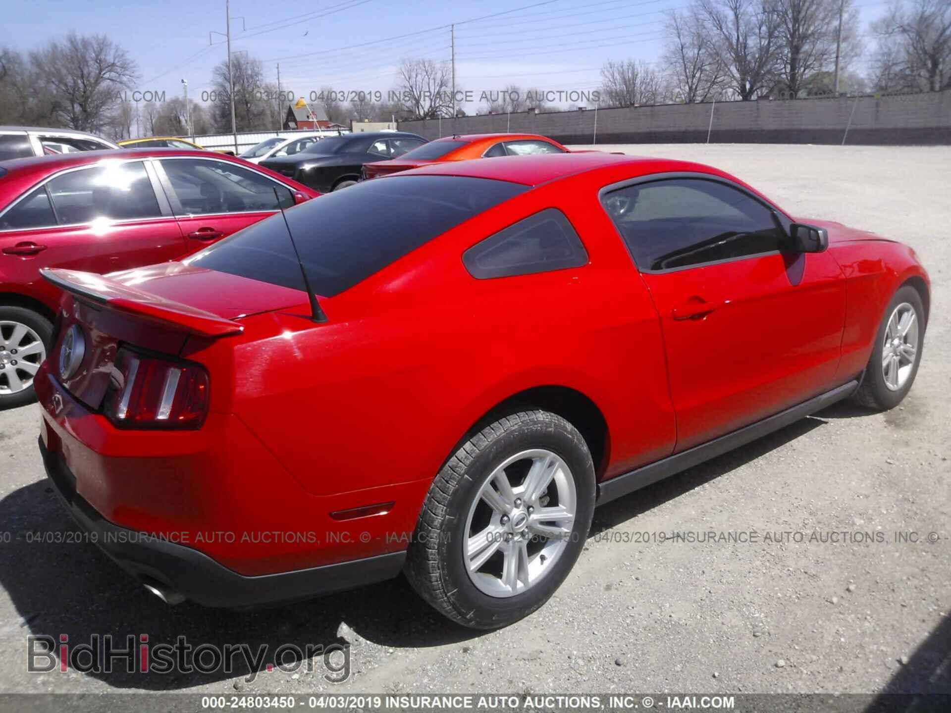 2012 FORD MUSTANG - VIN: 1ZVBP8AMXC5254176 - Фото 4