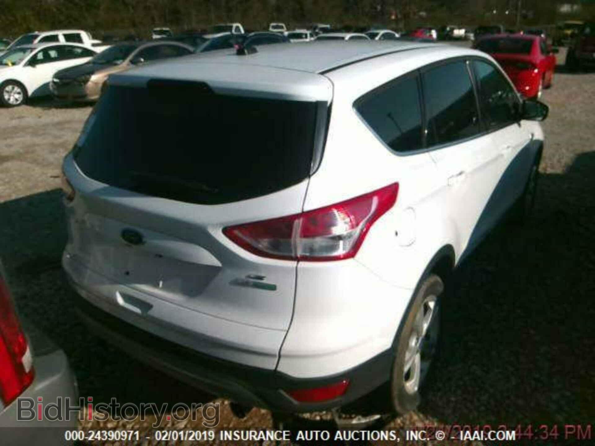 2013 FORD ESCAPE - VIN: 1FMCU0GX1DUC64116 - Photo 2