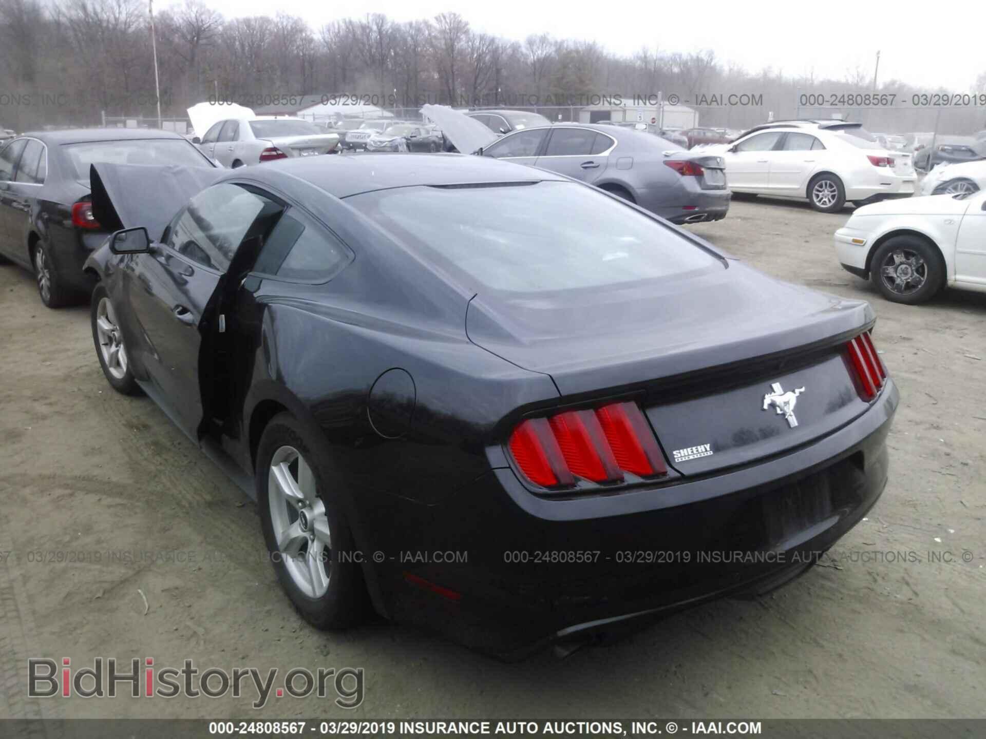 2017 FORD MUSTANG - VIN: 1FA6P8AM3H5271046 - Фото 3