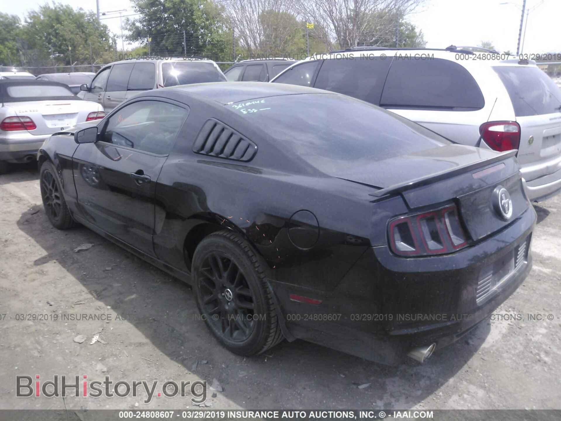 2014 FORD MUSTANG - VIN: 1ZVBP8AM9E5249909 - Фото 3