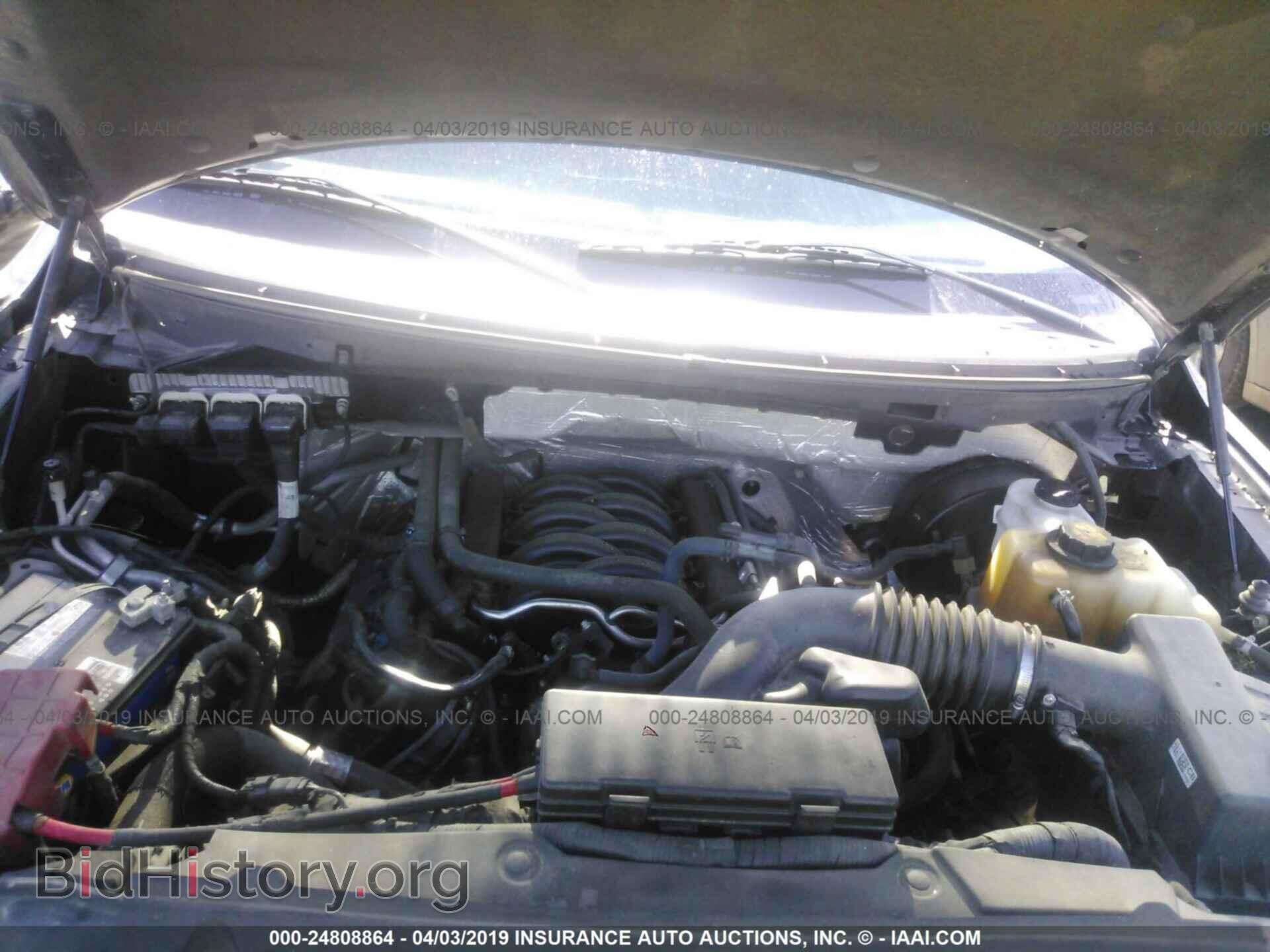2013 FORD F150 - VIN: 1FTFX1CF0DFB61317 - Фото 10