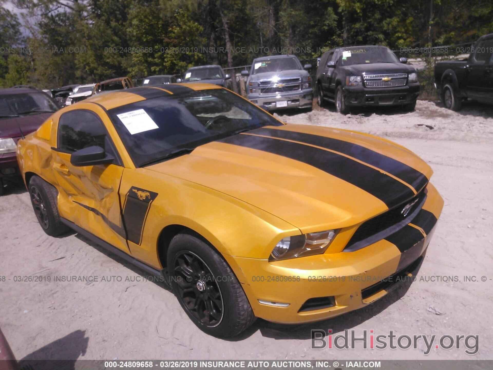 Photo 1ZVBP8AM3C5210455 - FORD MUSTANG 2012