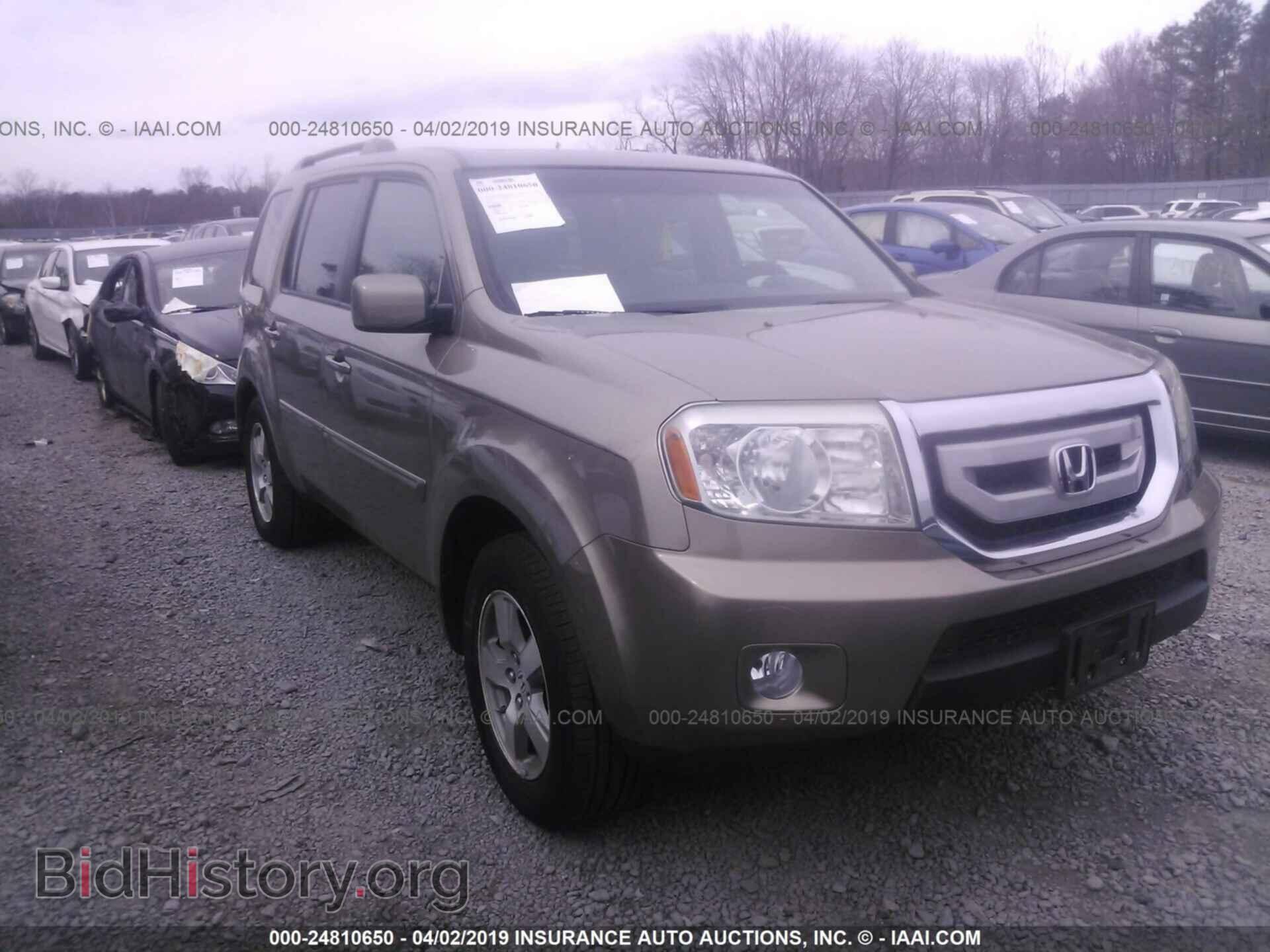 Фотография 5FNYF48539B050396 - HONDA PILOT 2009