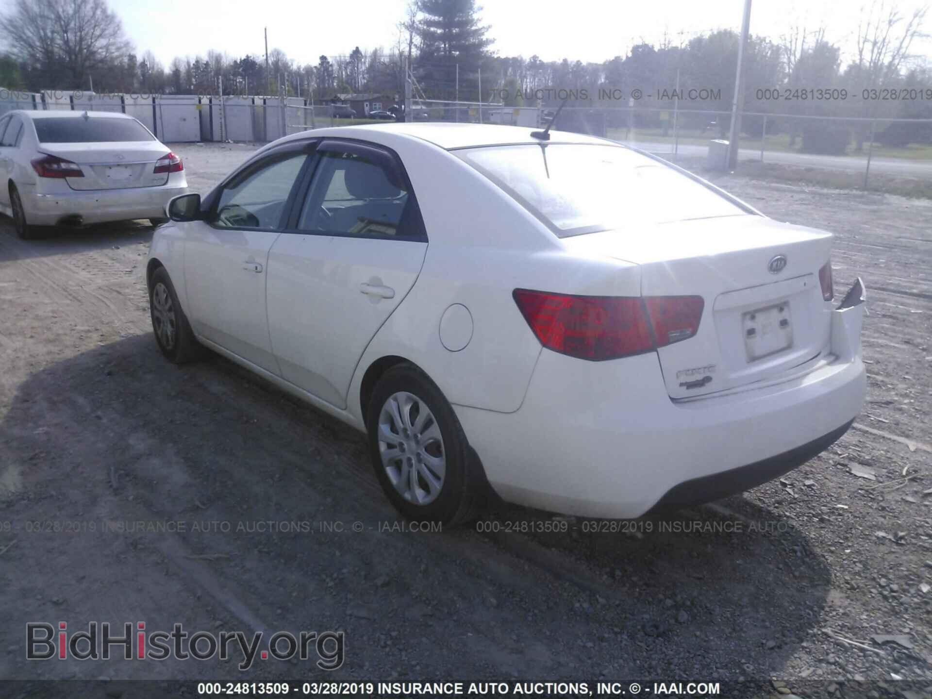 2013 KIA FORTE - VIN: KNAFT4A29D5708973 - Фото 3