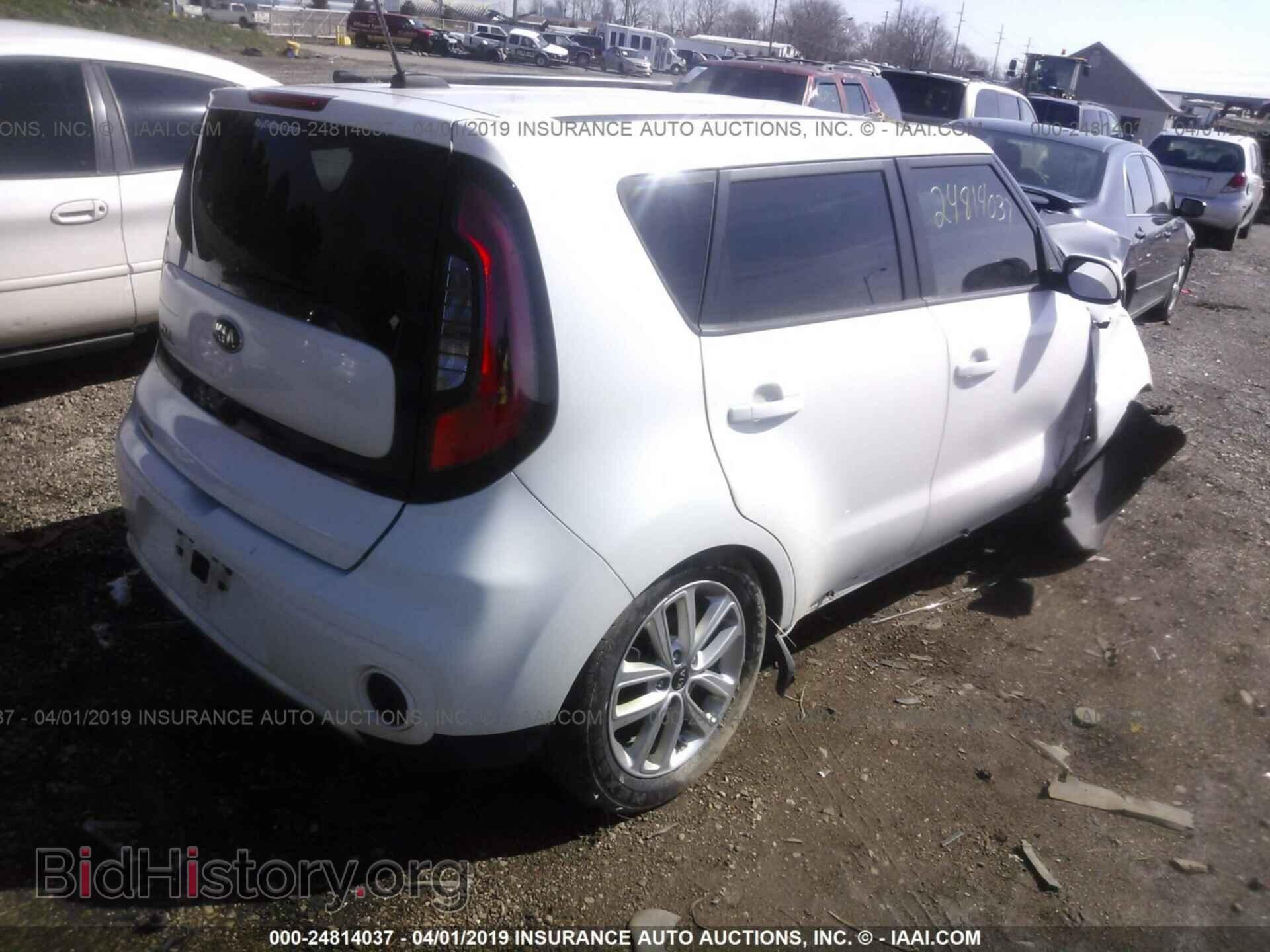 2006 HONDA PILOT - VIN: 5FNYF281X6B052191 - Фото 4