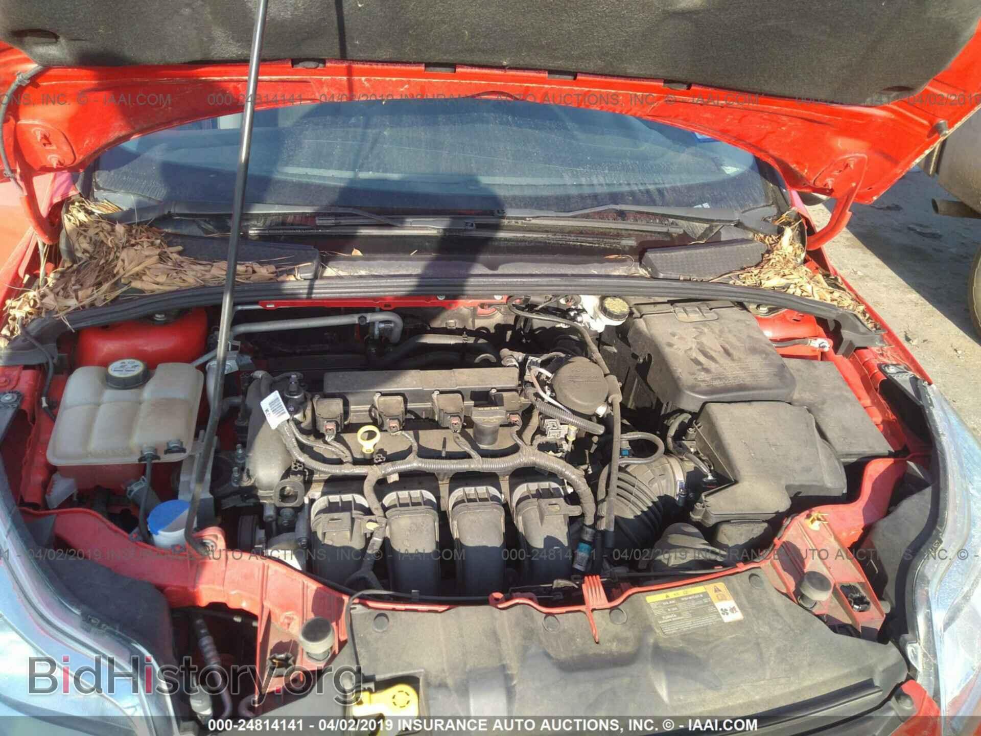 2013 FORD FOCUS - VIN: 1FADP3F25DL307178 - Фото 10