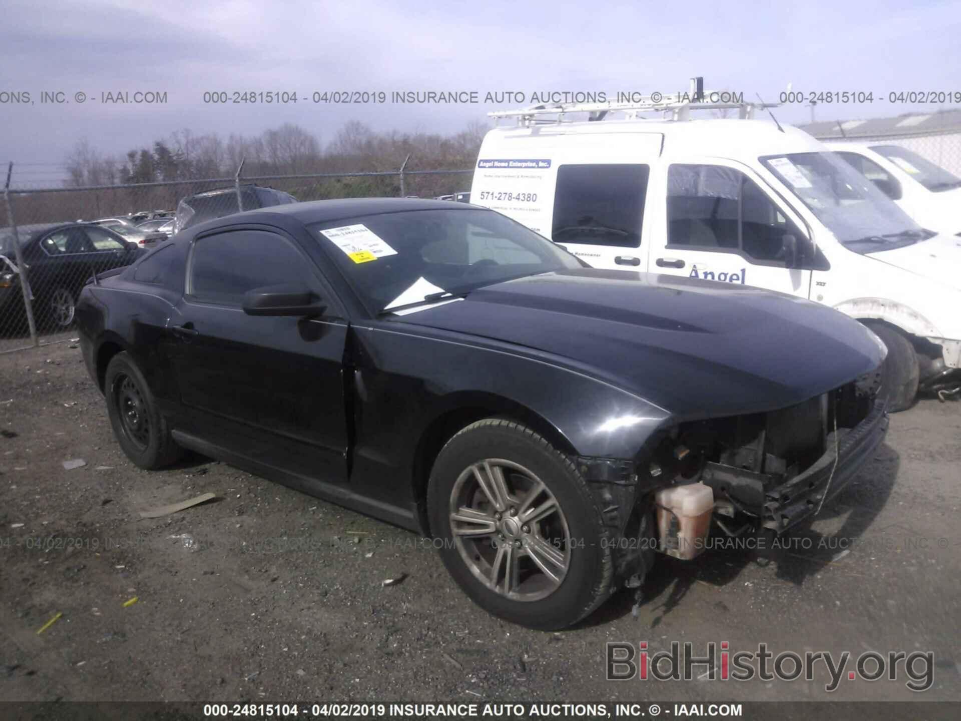 Photo 1ZVBP8AM3C5238563 - FORD MUSTANG 2012