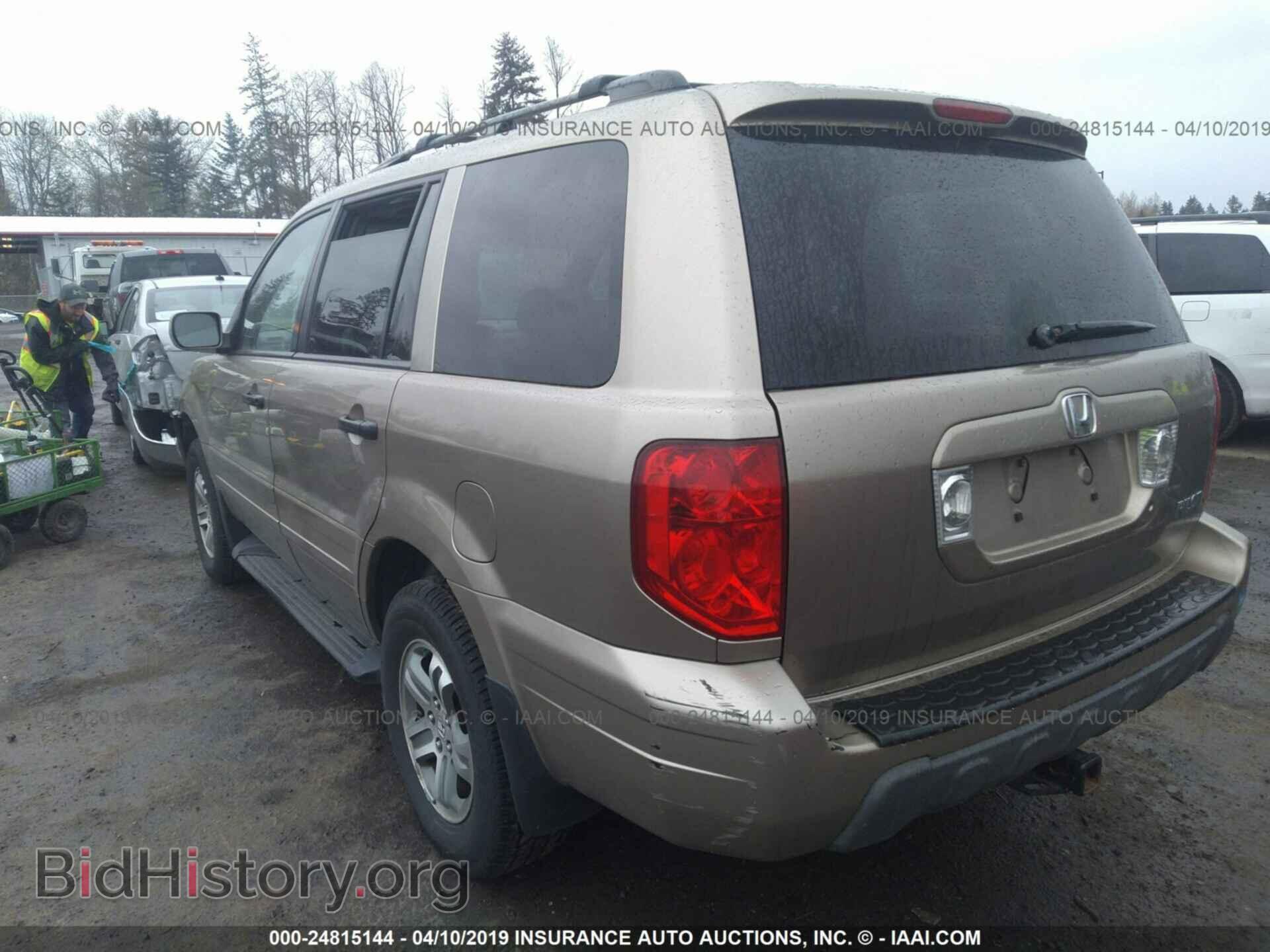 2005 HONDA PILOT - VIN: 5FNYF18605B032245 - Фото 3