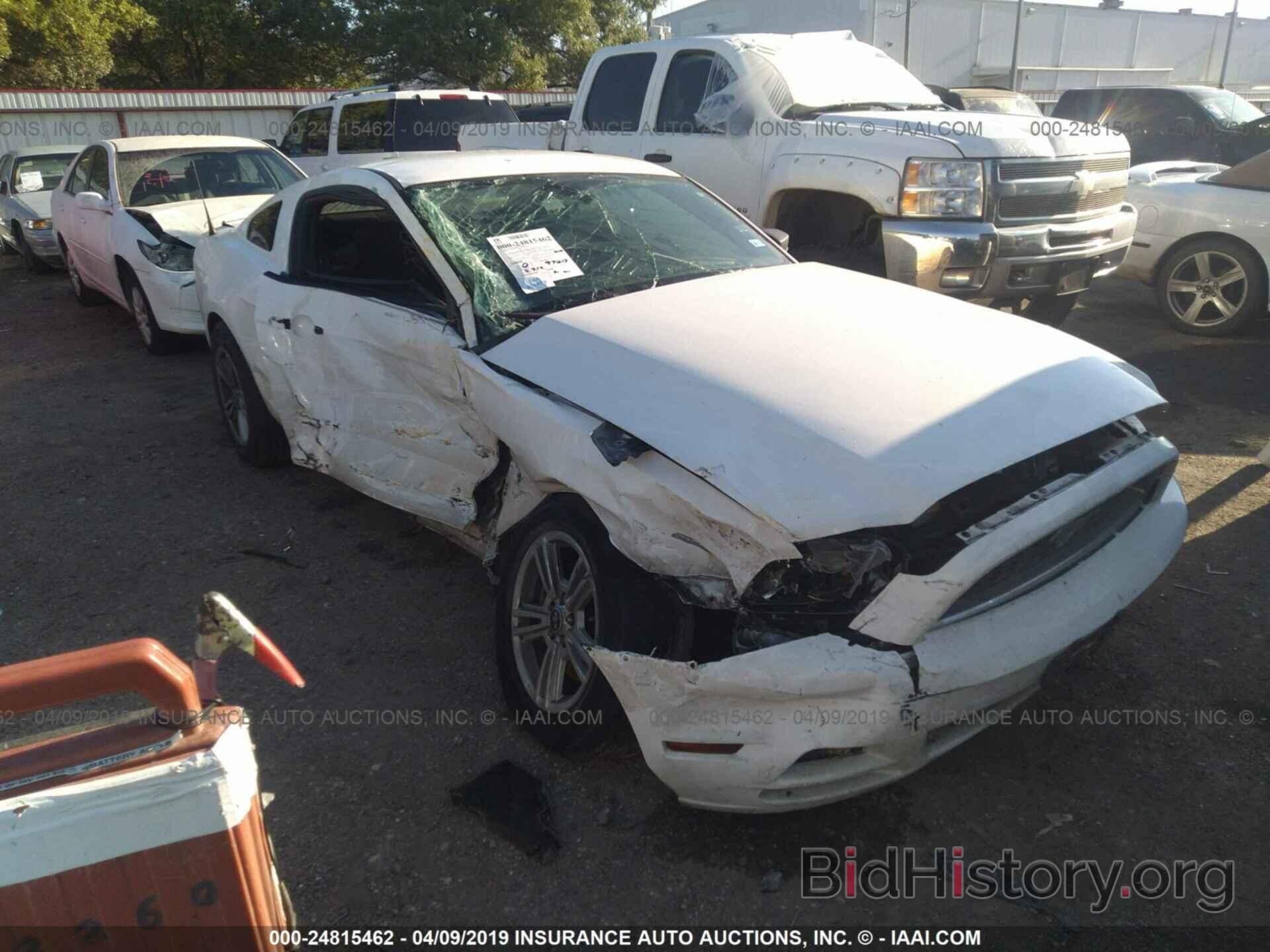 Photo 1ZVBP8AM9D5255434 - FORD MUSTANG 2013
