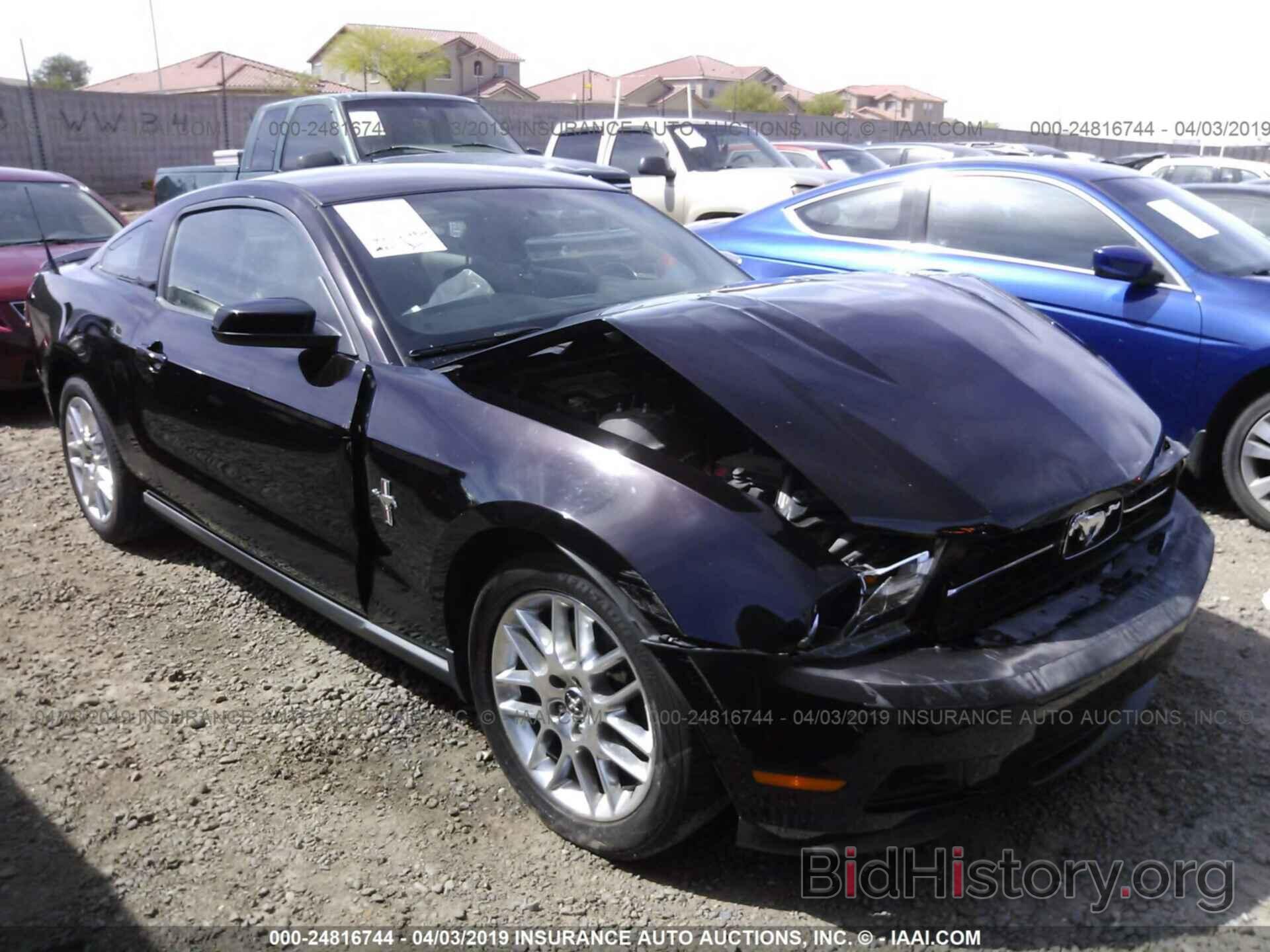 Photo 1ZVBP8AM5C5205208 - FORD MUSTANG 2012