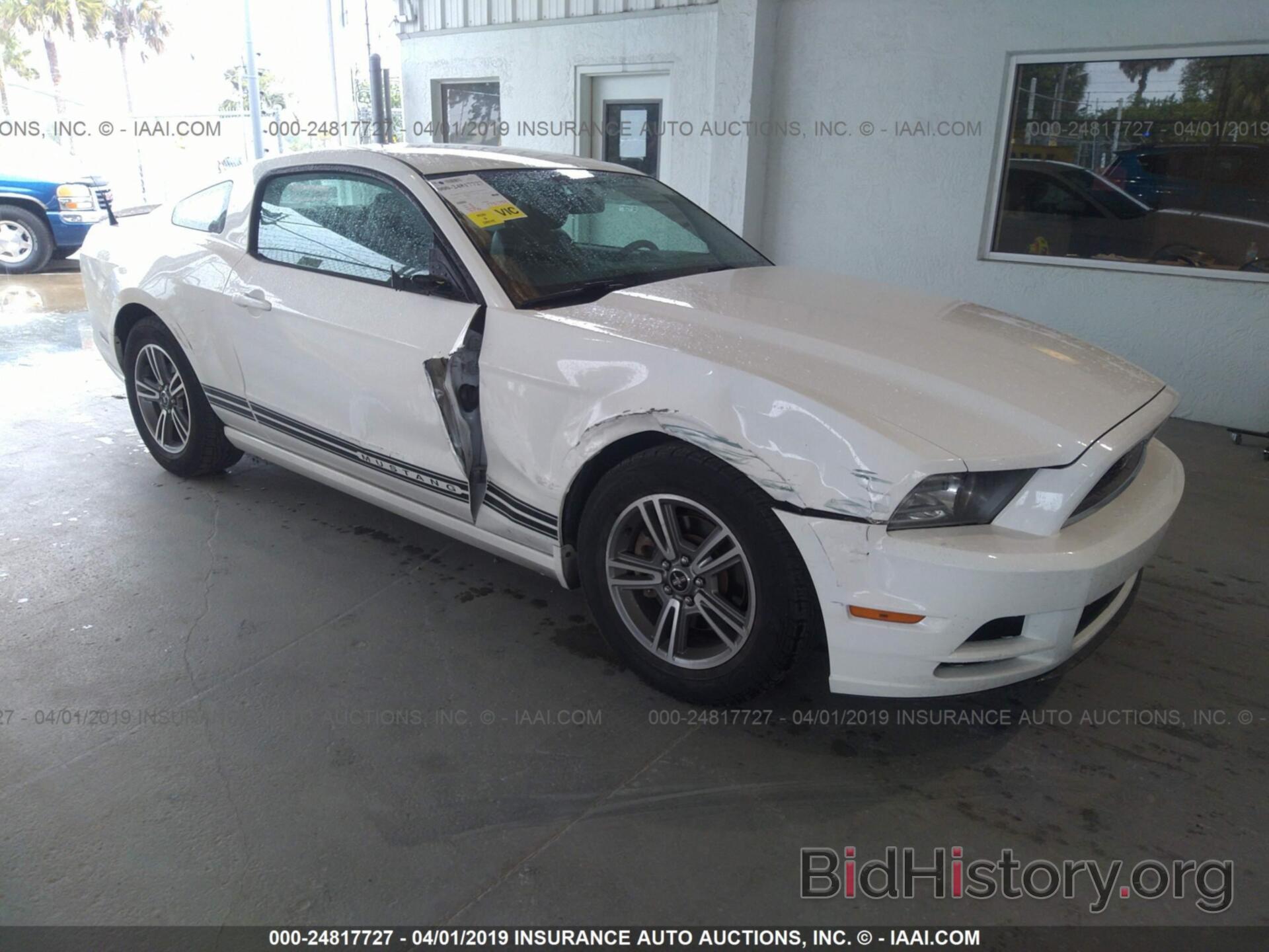 Photo 1ZVBP8AM8D5224871 - FORD MUSTANG 2013
