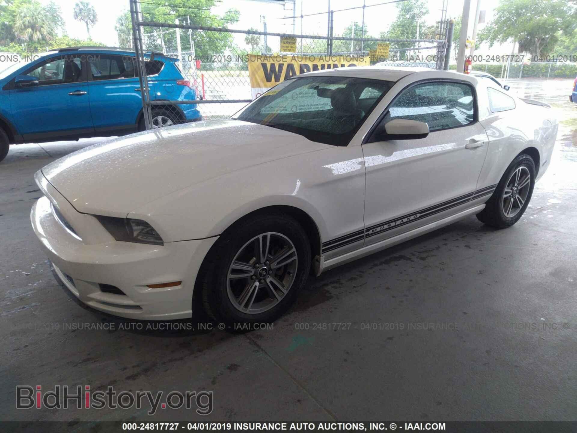 2013 FORD MUSTANG - VIN: 1ZVBP8AM8D5224871 - Фото 2