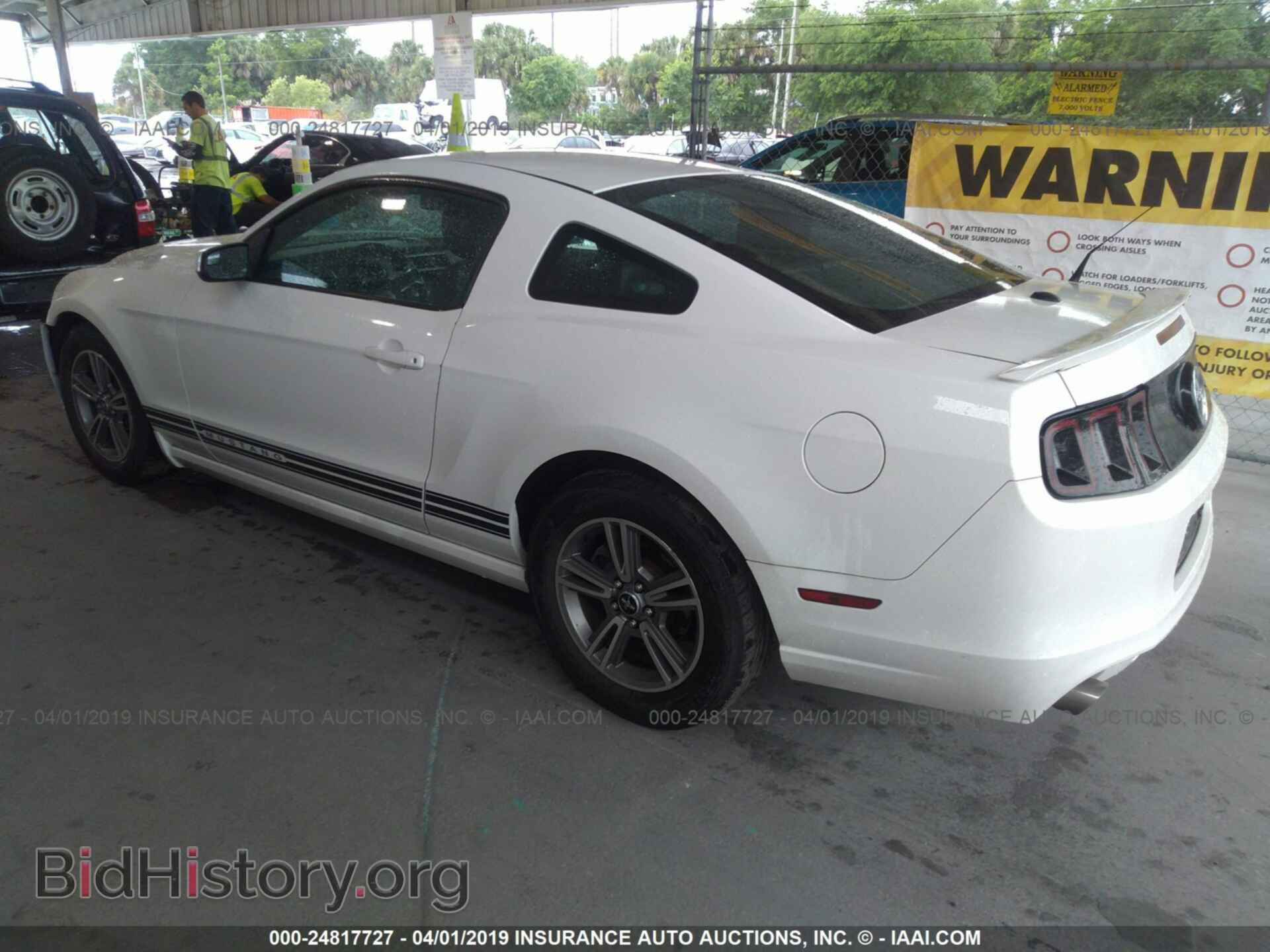 2013 FORD MUSTANG - VIN: 1ZVBP8AM8D5224871 - Фото 3
