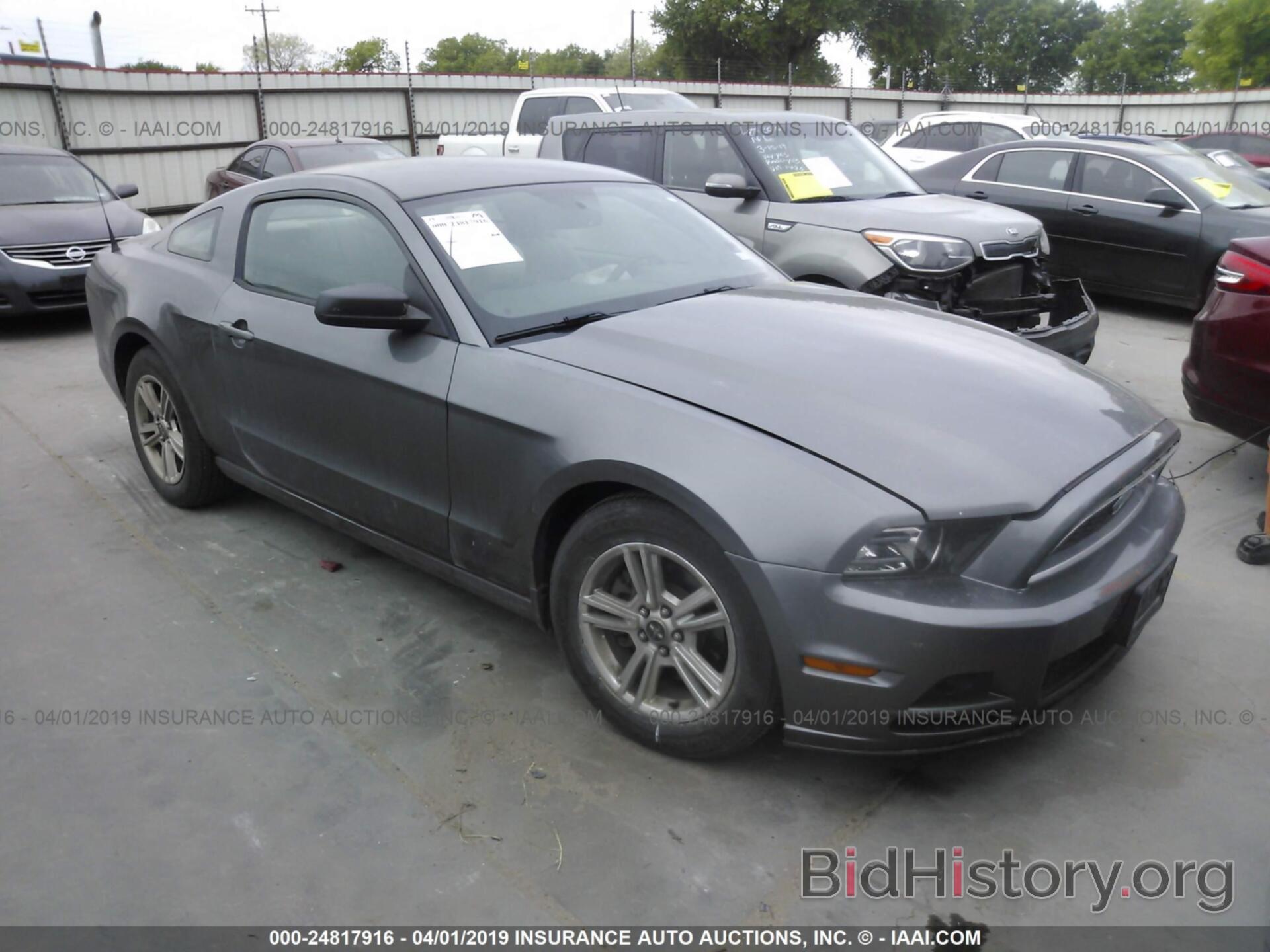 Photo 1ZVBP8AM2D5274617 - FORD MUSTANG 2013