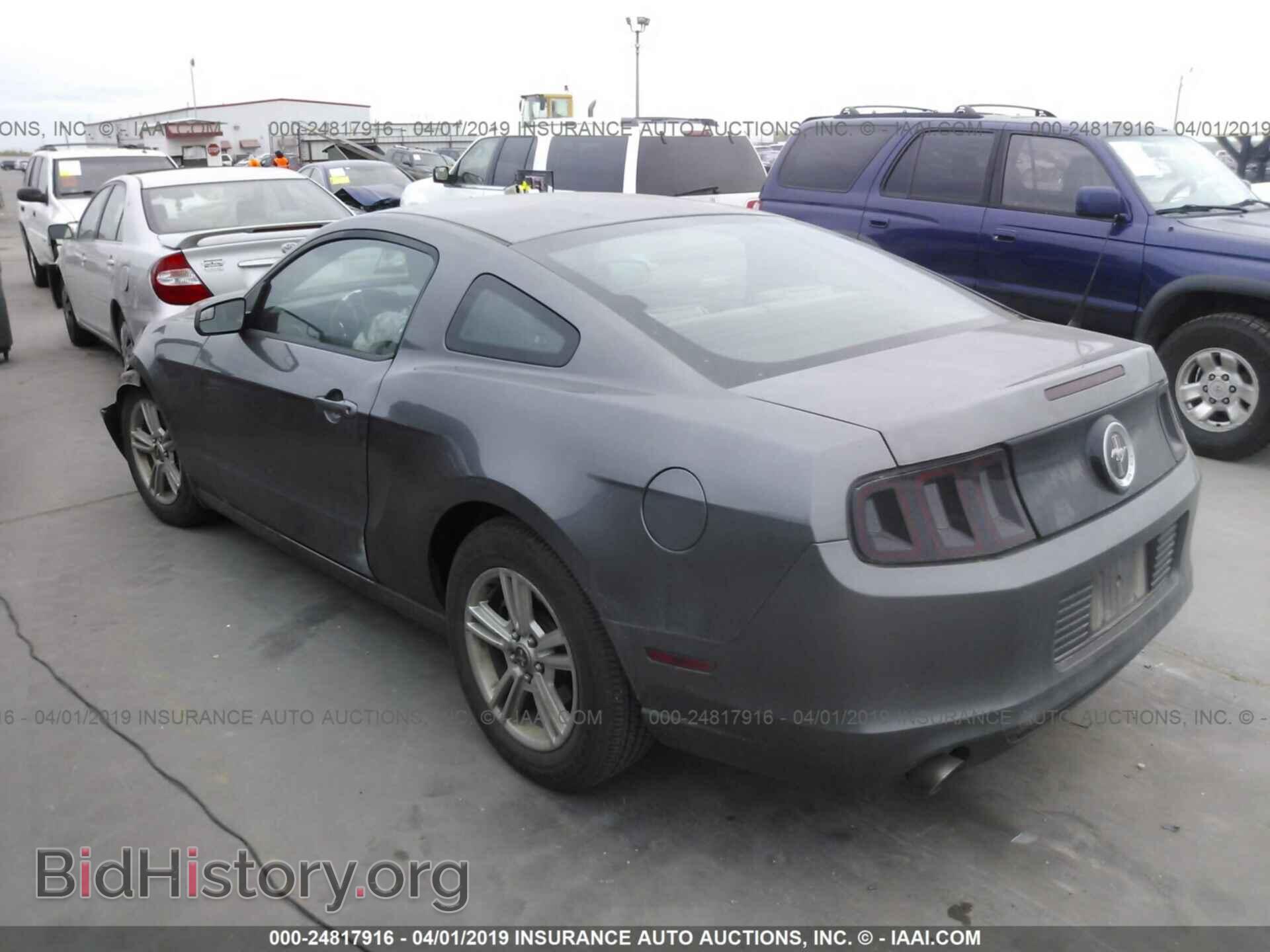 2013 FORD MUSTANG - VIN: 1ZVBP8AM2D5274617 - Фото 3
