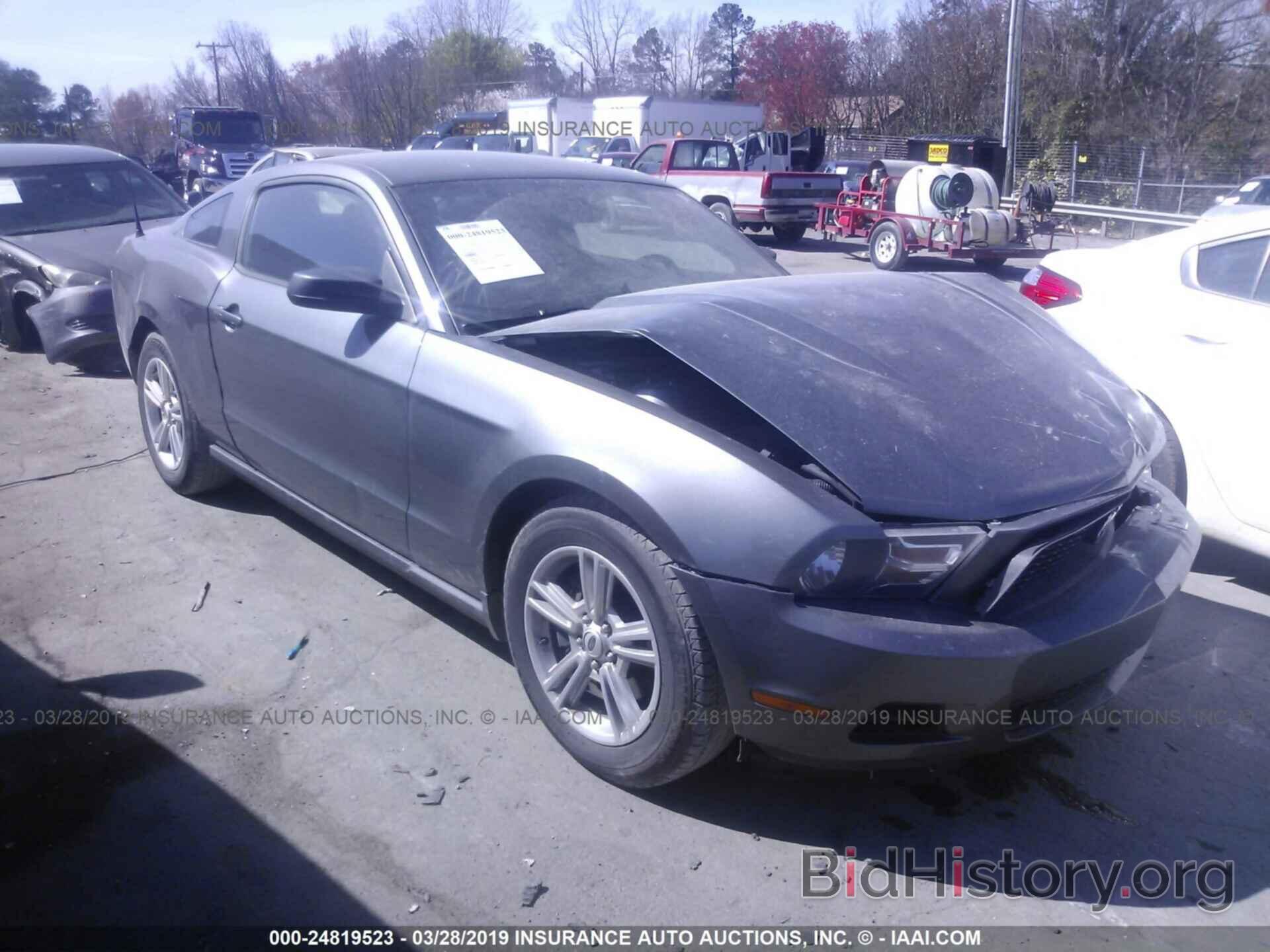 Photo 1ZVBP8AM2C5264359 - FORD MUSTANG 2012