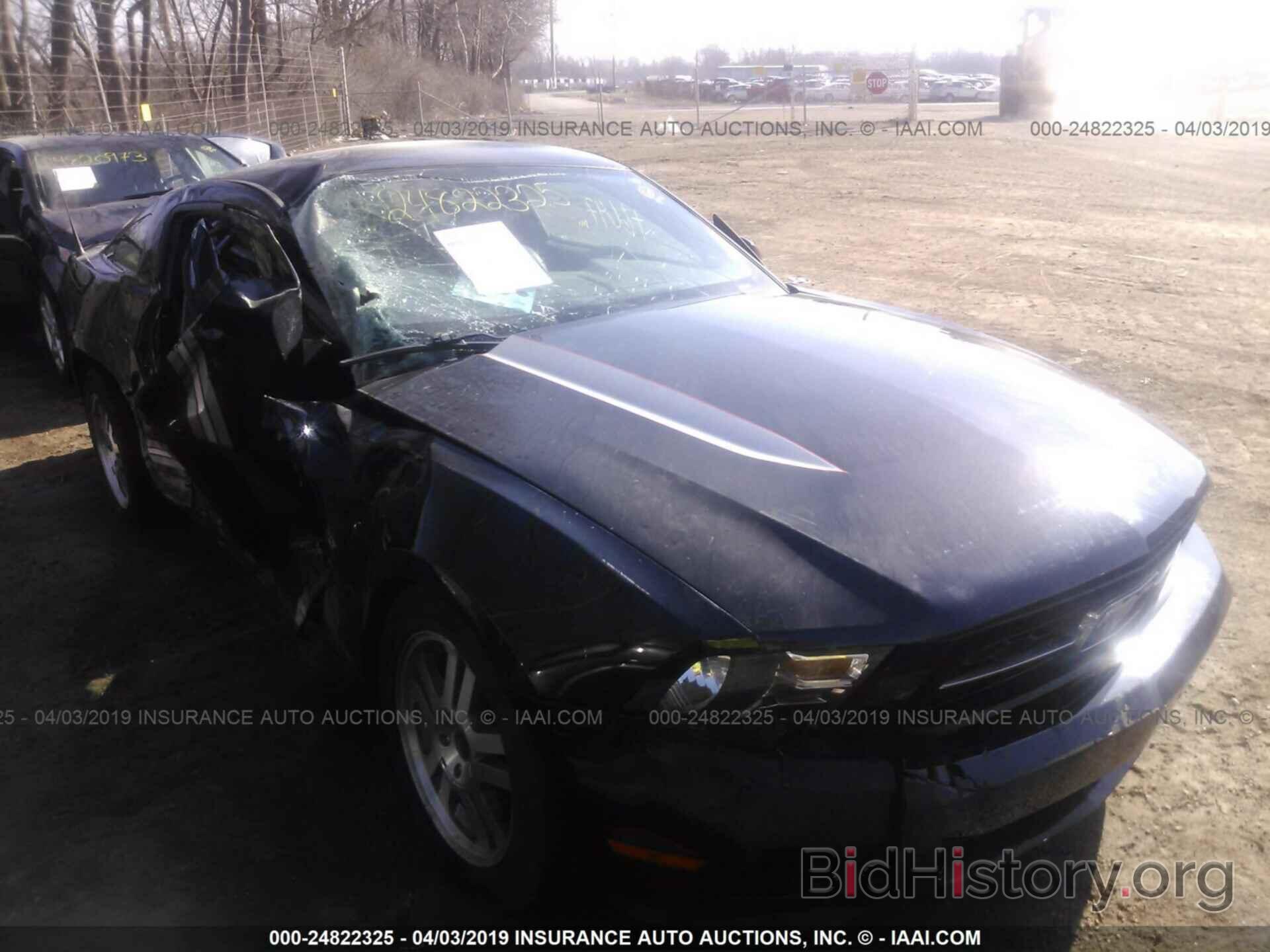 Photo 1ZVBP8AM3C5206292 - FORD MUSTANG 2012