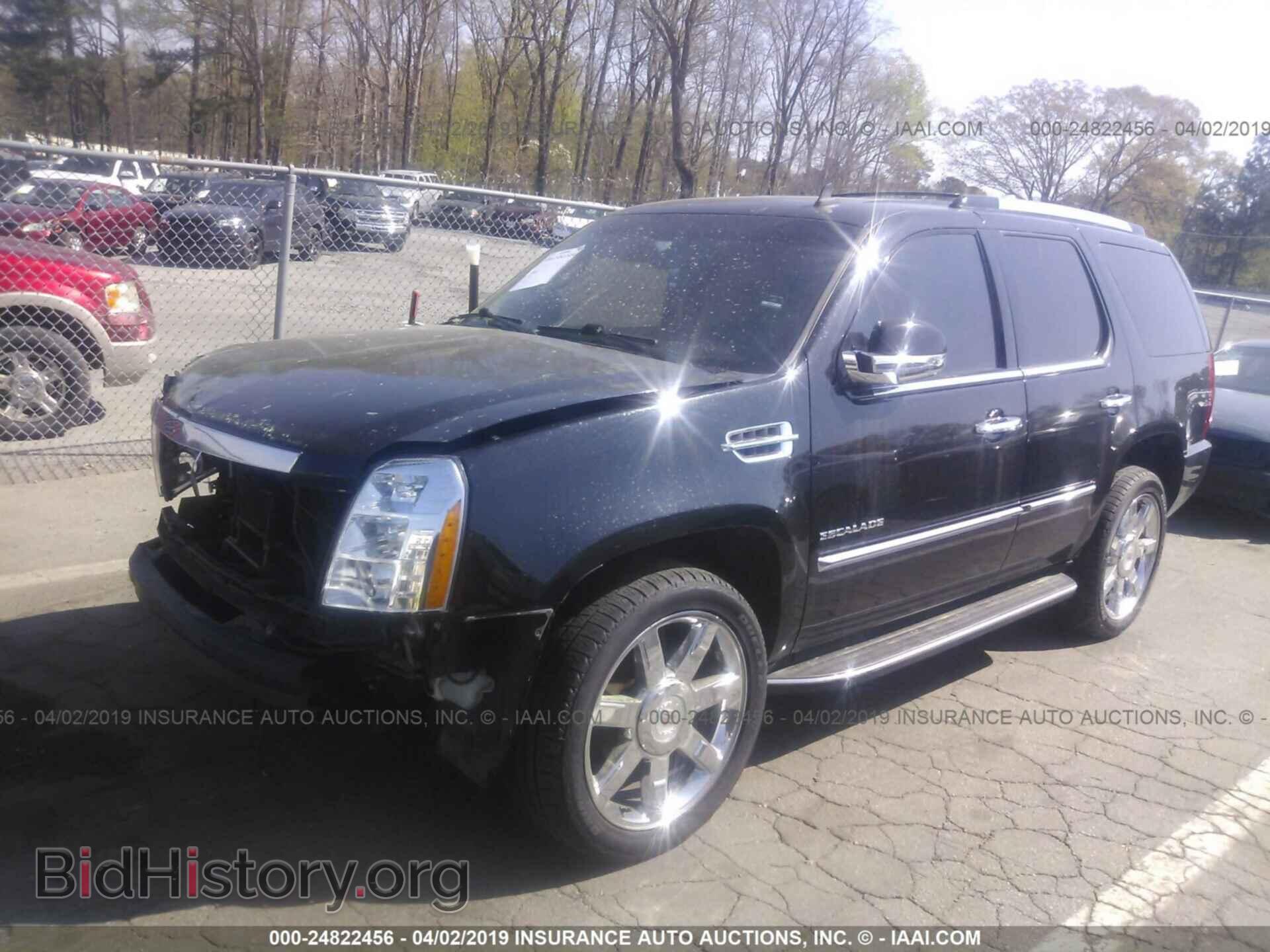 2010 CADILLAC ESCALADE - VIN: 1GYUKAEF3AR136550 - Фото 2