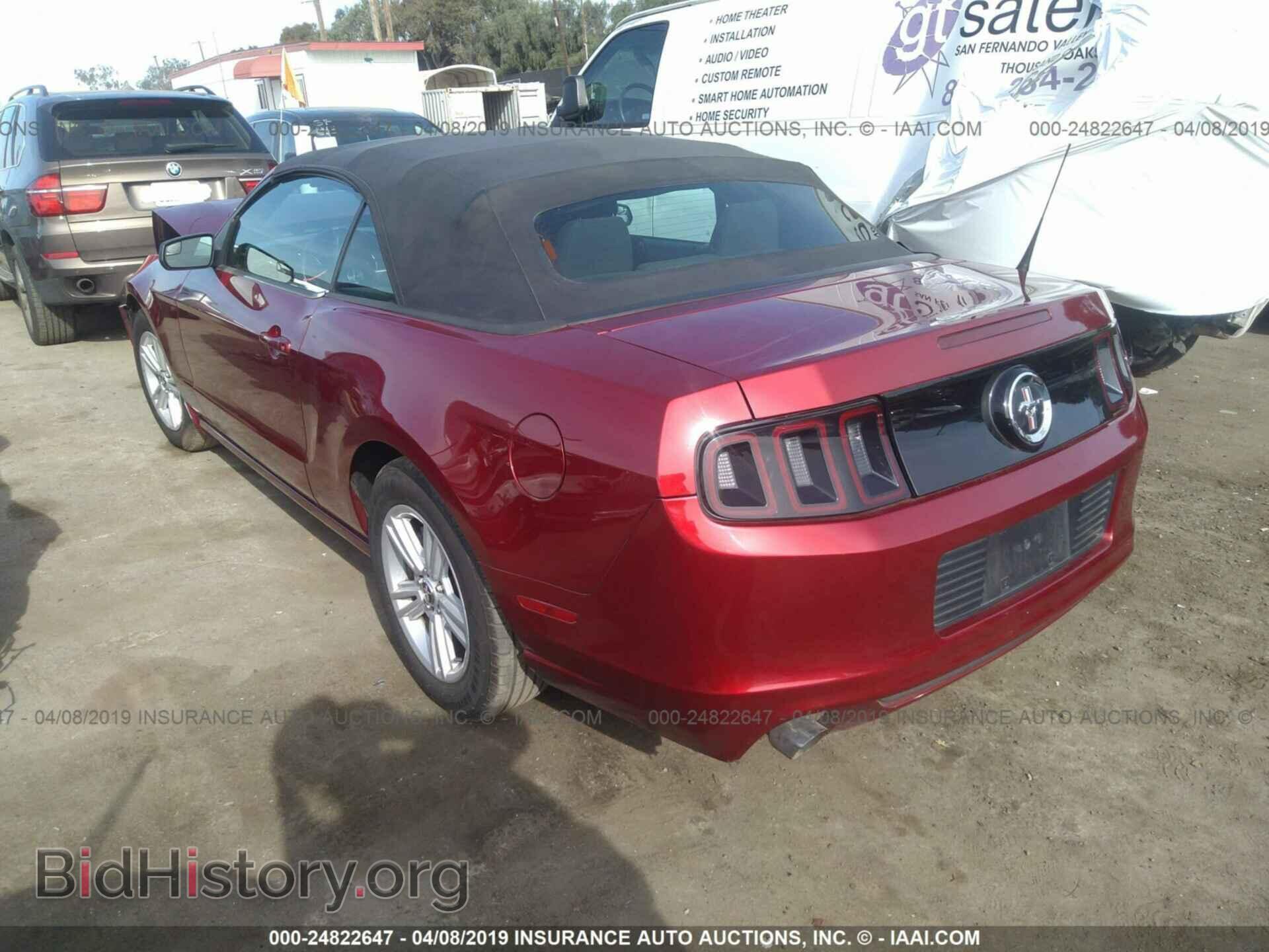 2014 FORD MUSTANG - VIN: 1ZVBP8EM8E5291658 - Фото 3