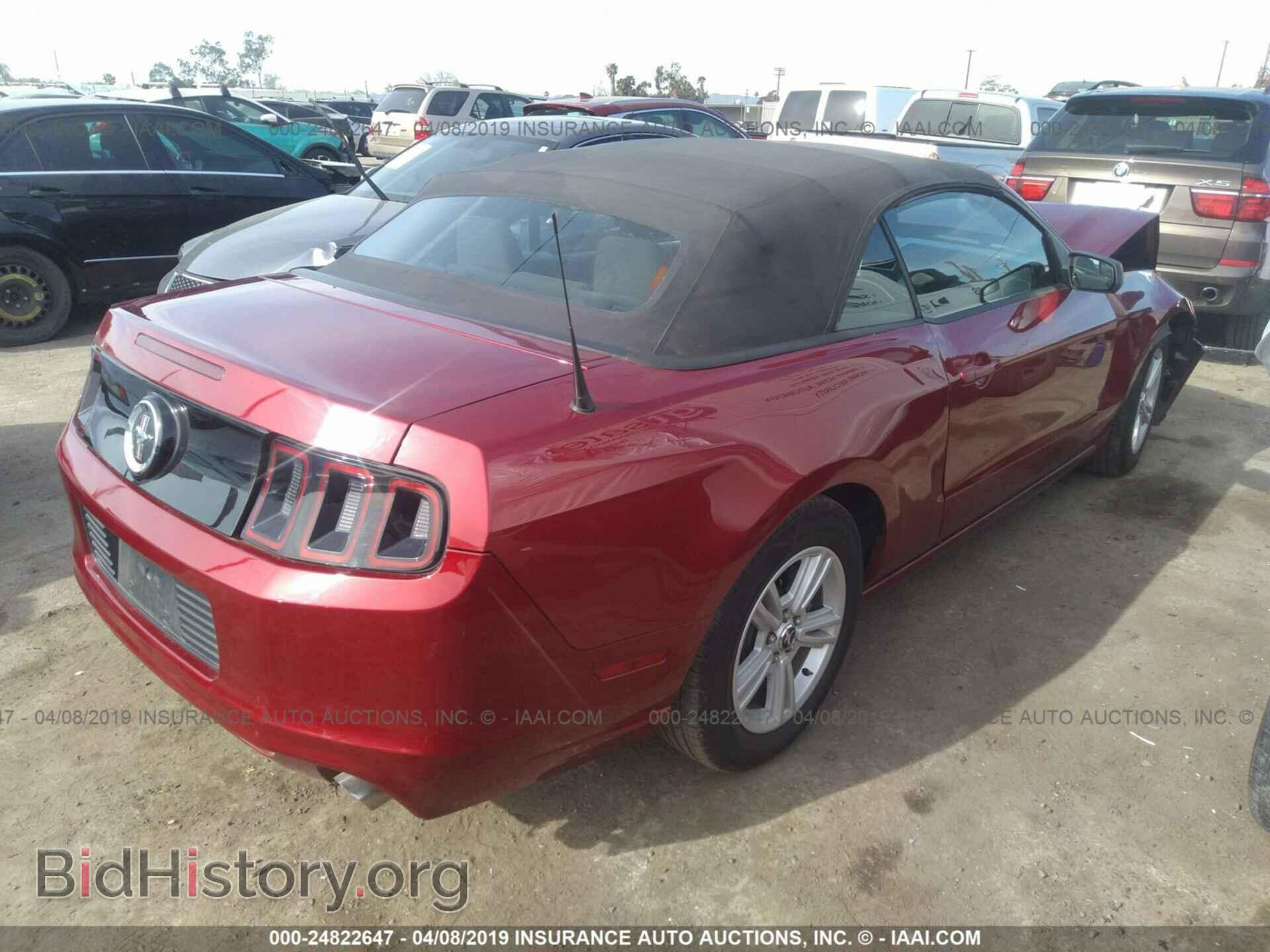 2014 FORD MUSTANG - VIN: 1ZVBP8EM8E5291658 - Фото 4