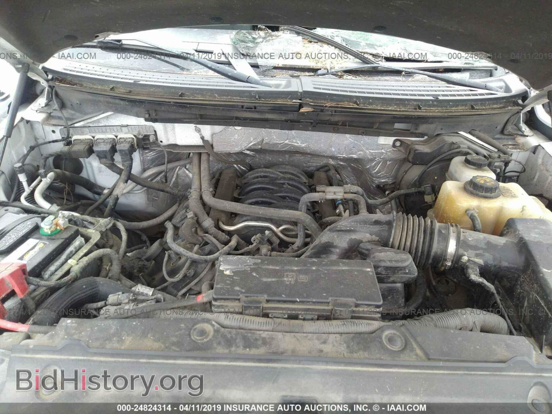 2012 FORD F150 - VIN: 1FTFX1EF9CFD09329 - Фото 10