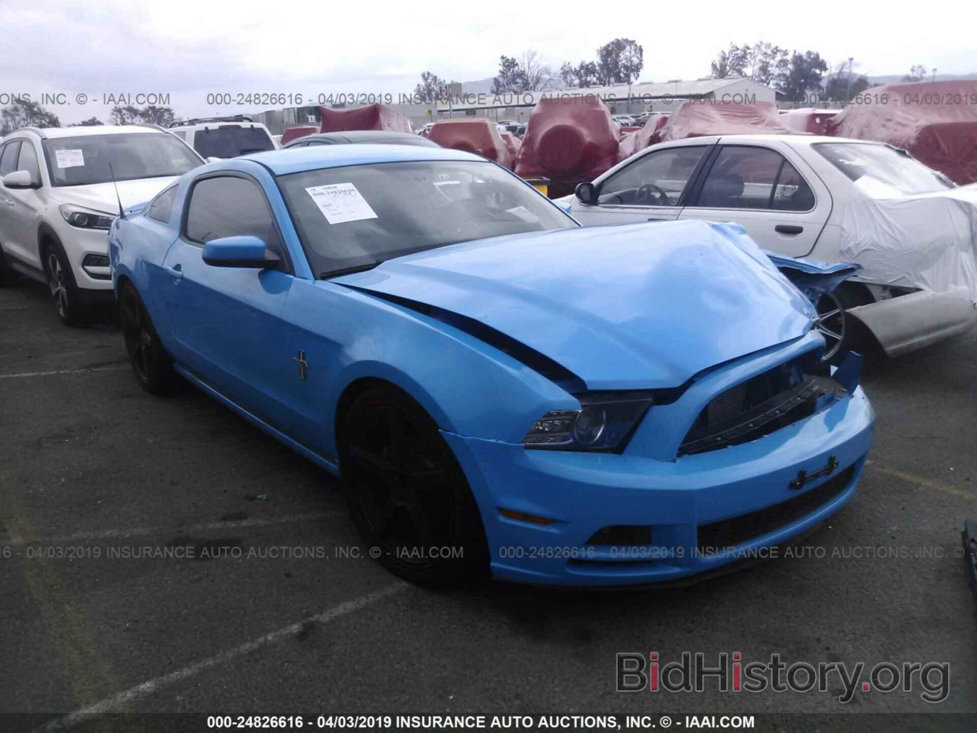 Photo 1ZVBP8AM6D5209432 - FORD MUSTANG 2013