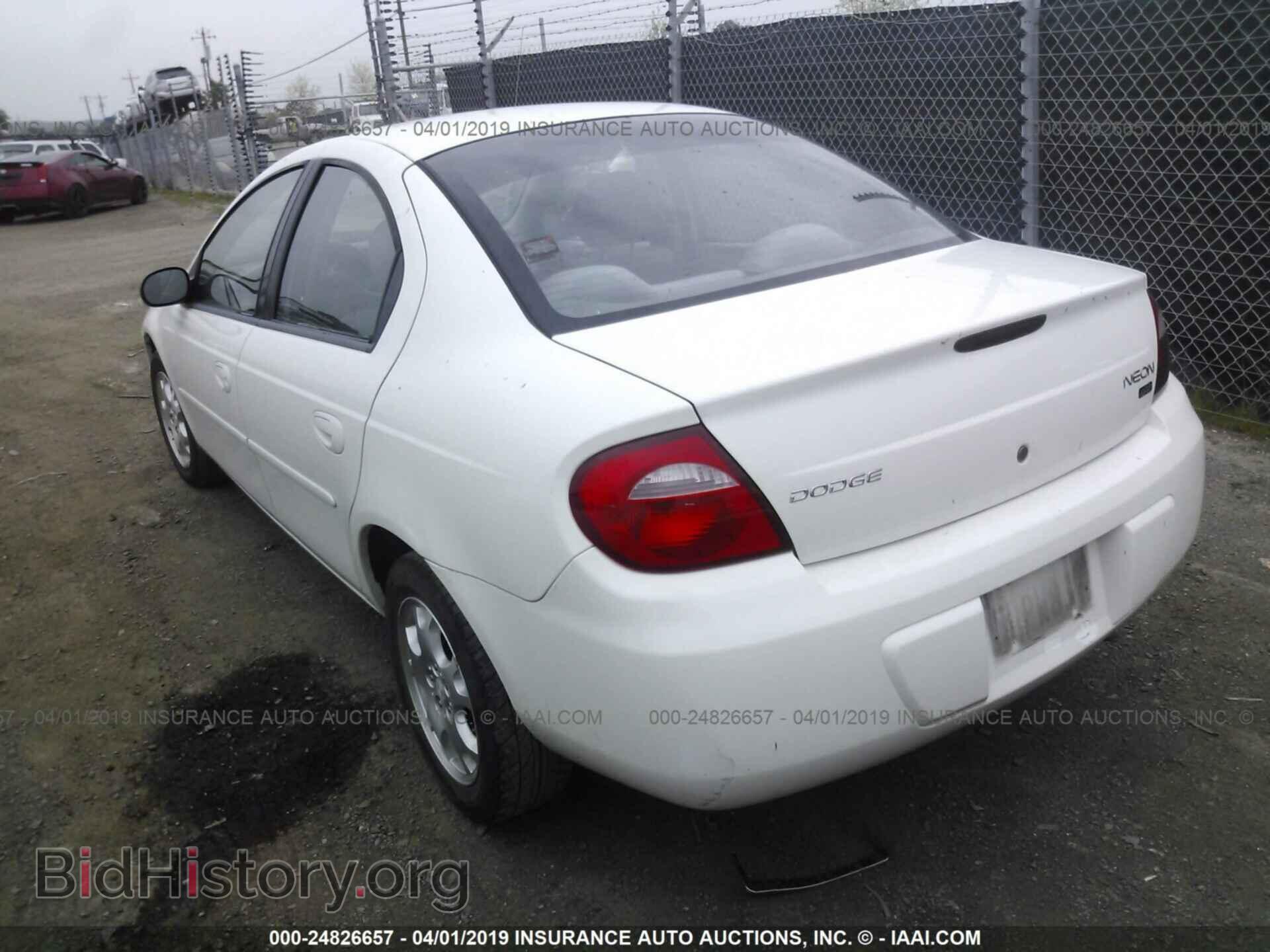 2004 DODGE NEON - VIN: 1B3ES56C94D563305 - Фото 3