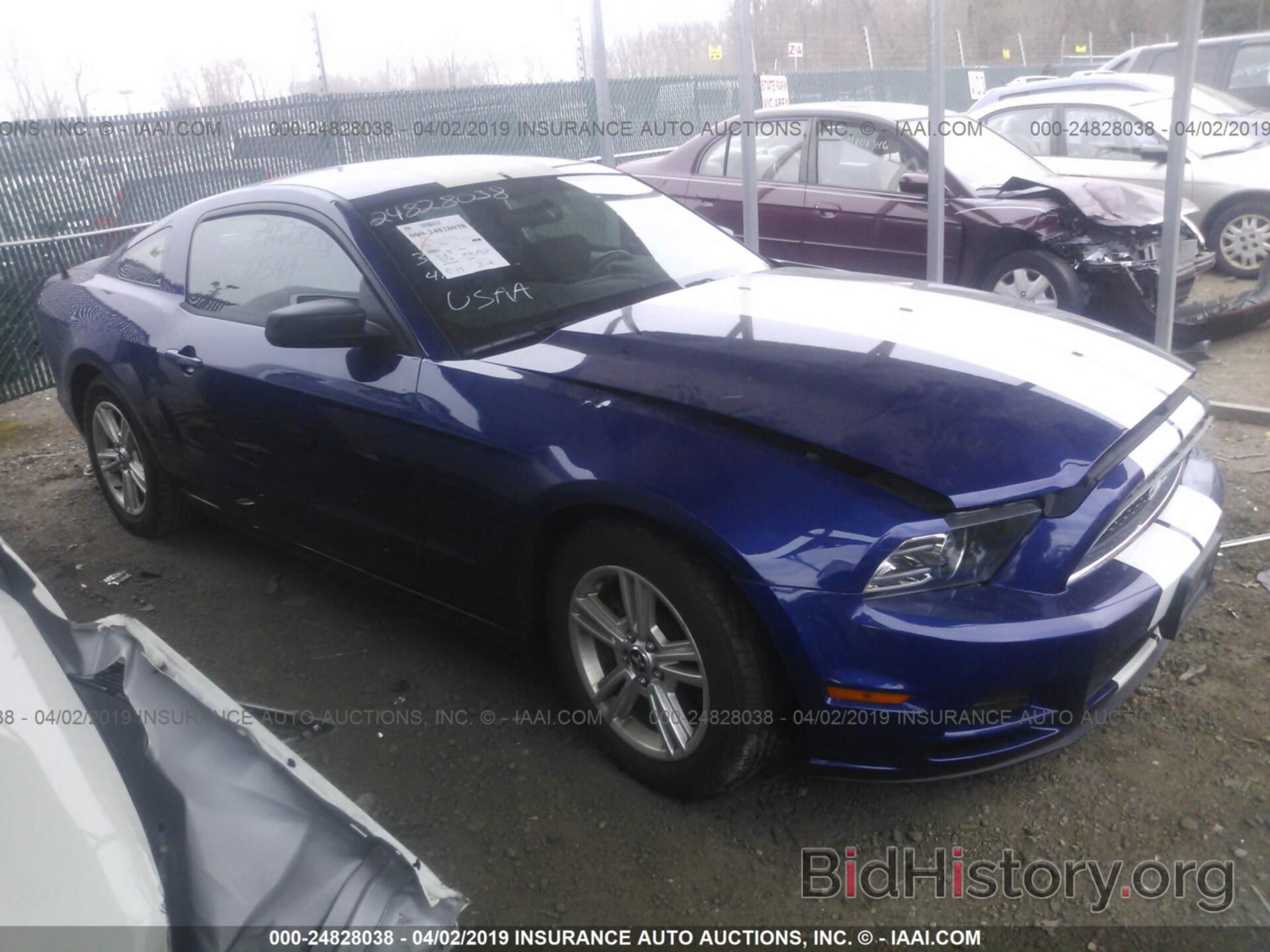 Photo 1ZVBP8AM3E5313121 - FORD MUSTANG 2014