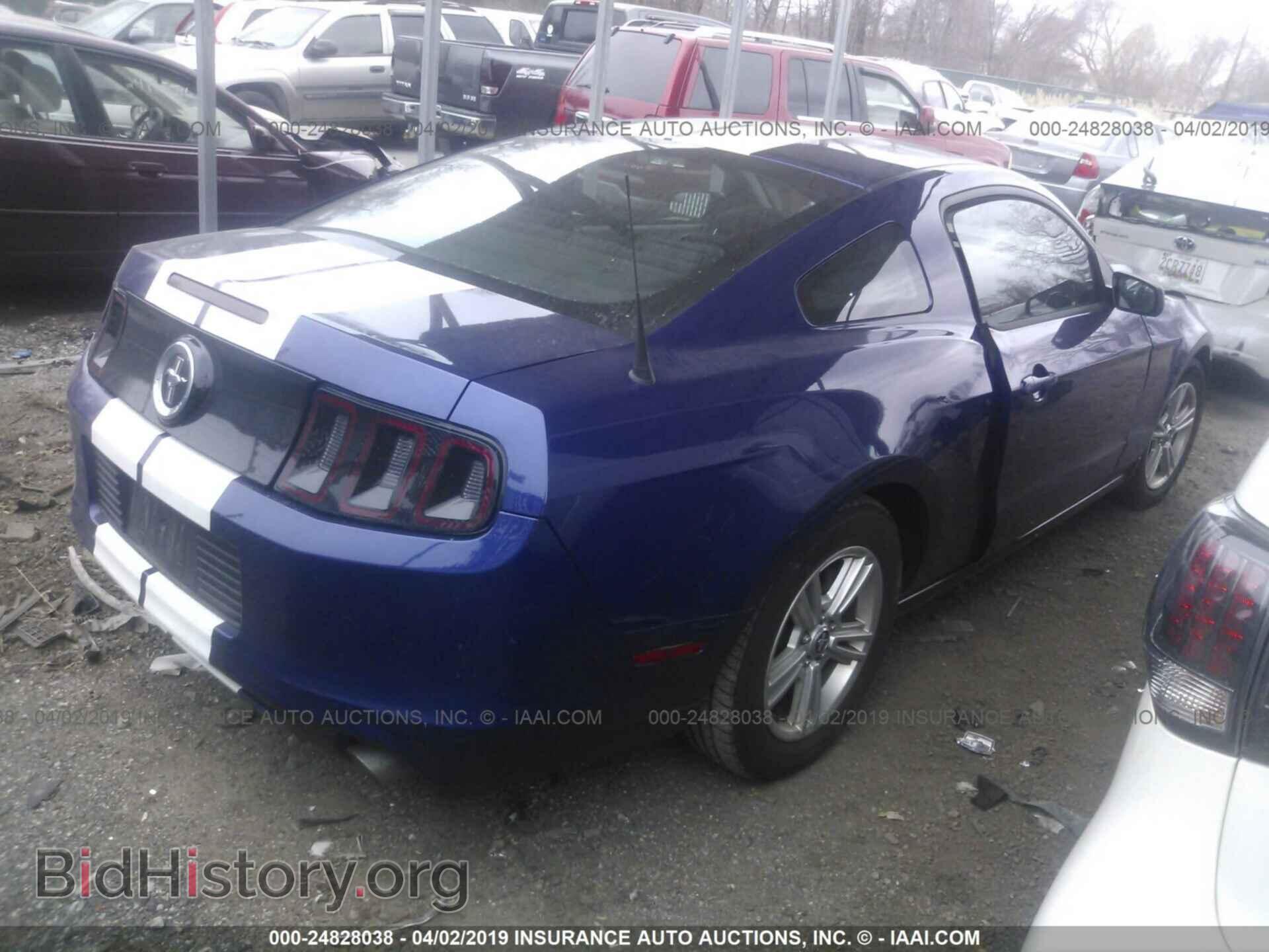 2014 FORD MUSTANG - VIN: 1ZVBP8AM3E5313121 - Фото 4