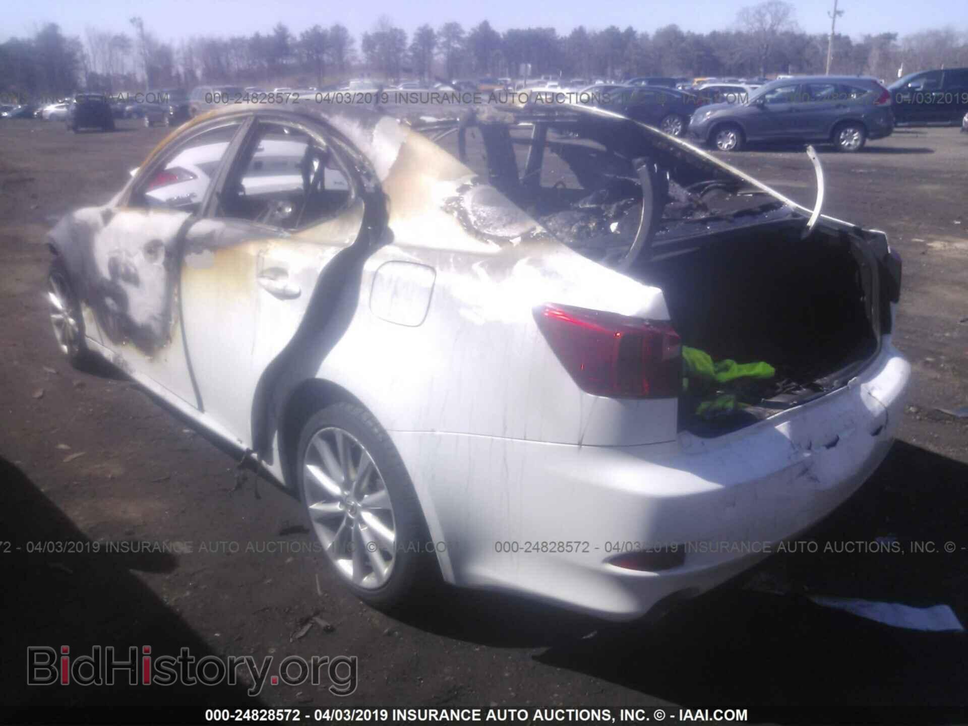 2009 LEXUS IS - VIN: JTHCK262195033082 - Фото 3
