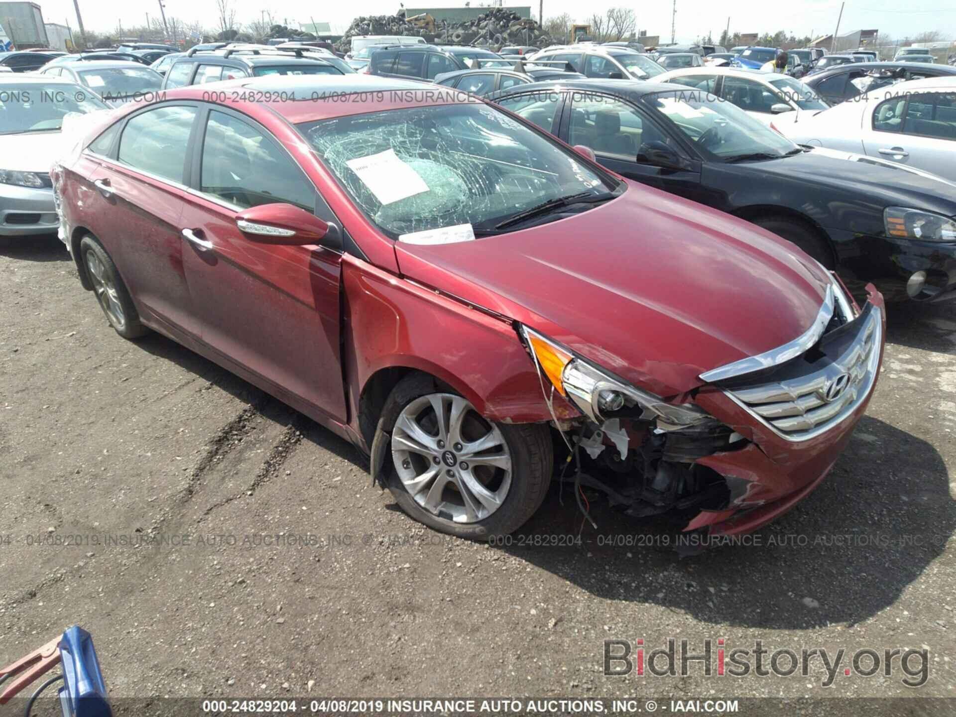 Photo 5NPEC4AC3DH518531 - HYUNDAI SONATA 2013