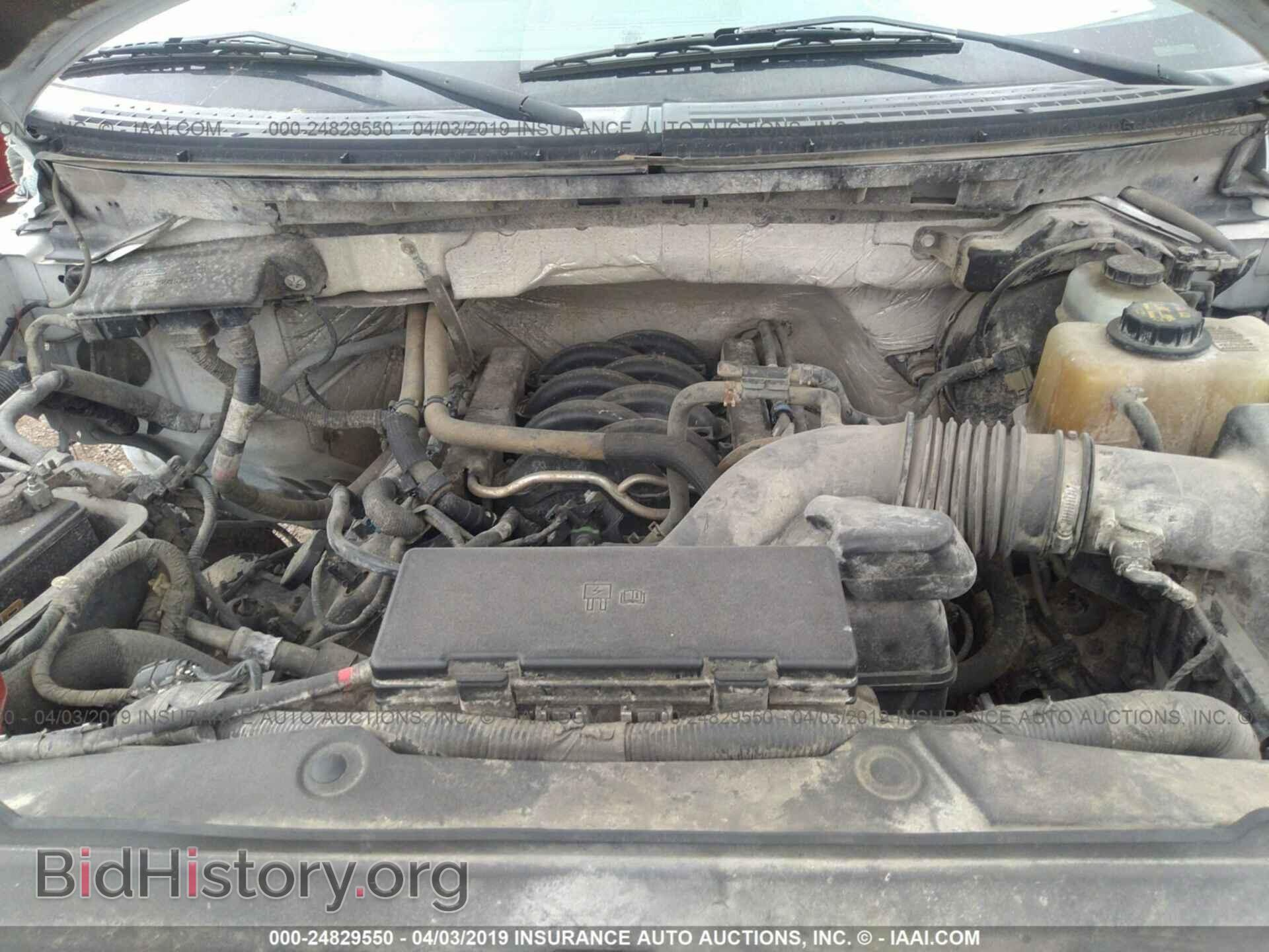 2012 FORD F150 - VIN: 1FTFW1EF1CFC76202 - Фото 10