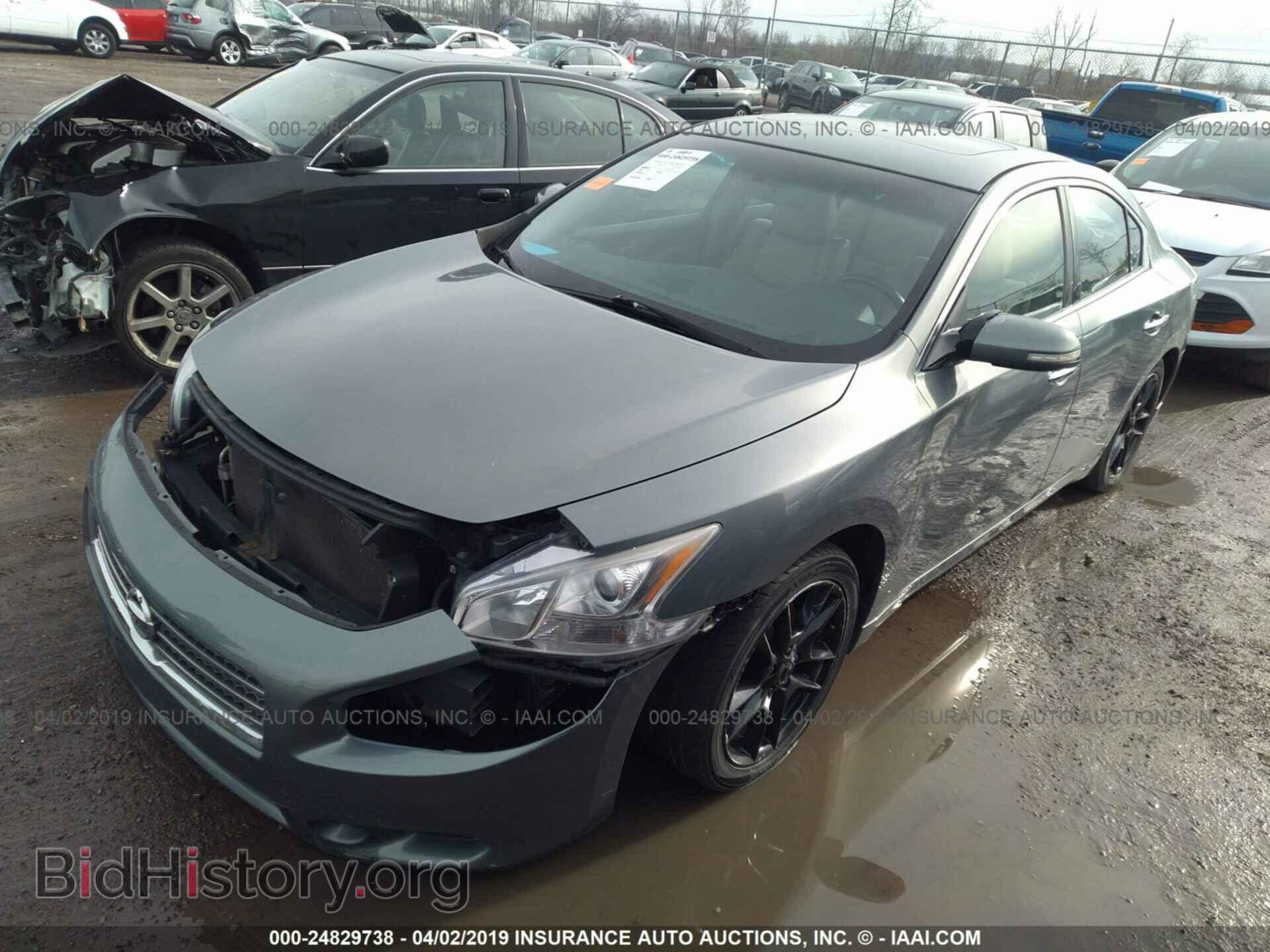 2009 NISSAN MAXIMA - VIN: 1N4AA51E79C812695 - Фото 2