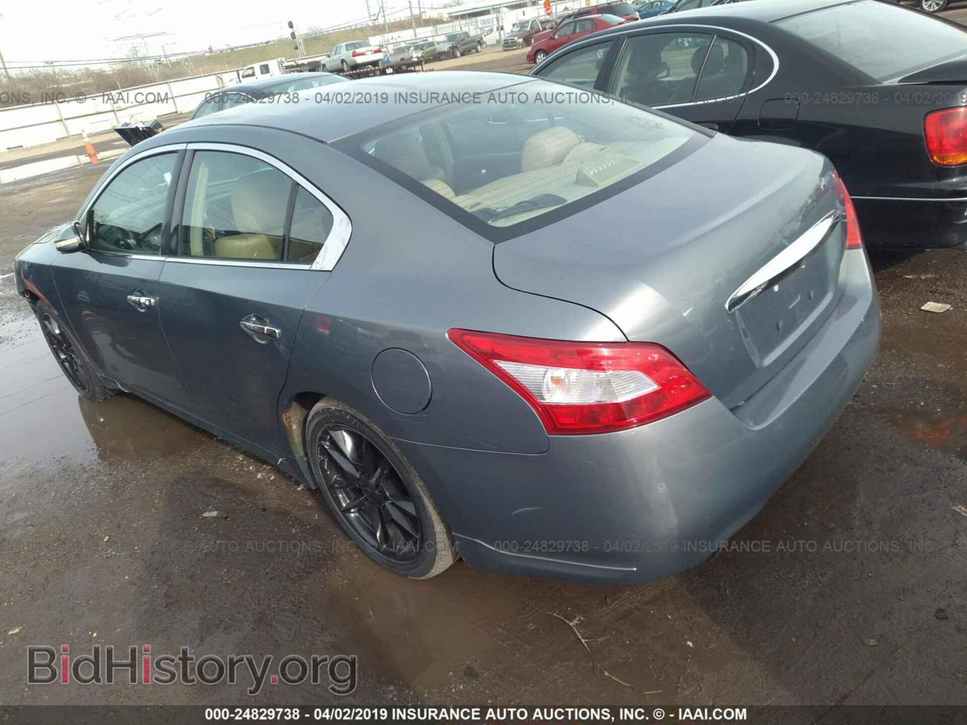 2009 NISSAN MAXIMA - VIN: 1N4AA51E79C812695 - Фото 3