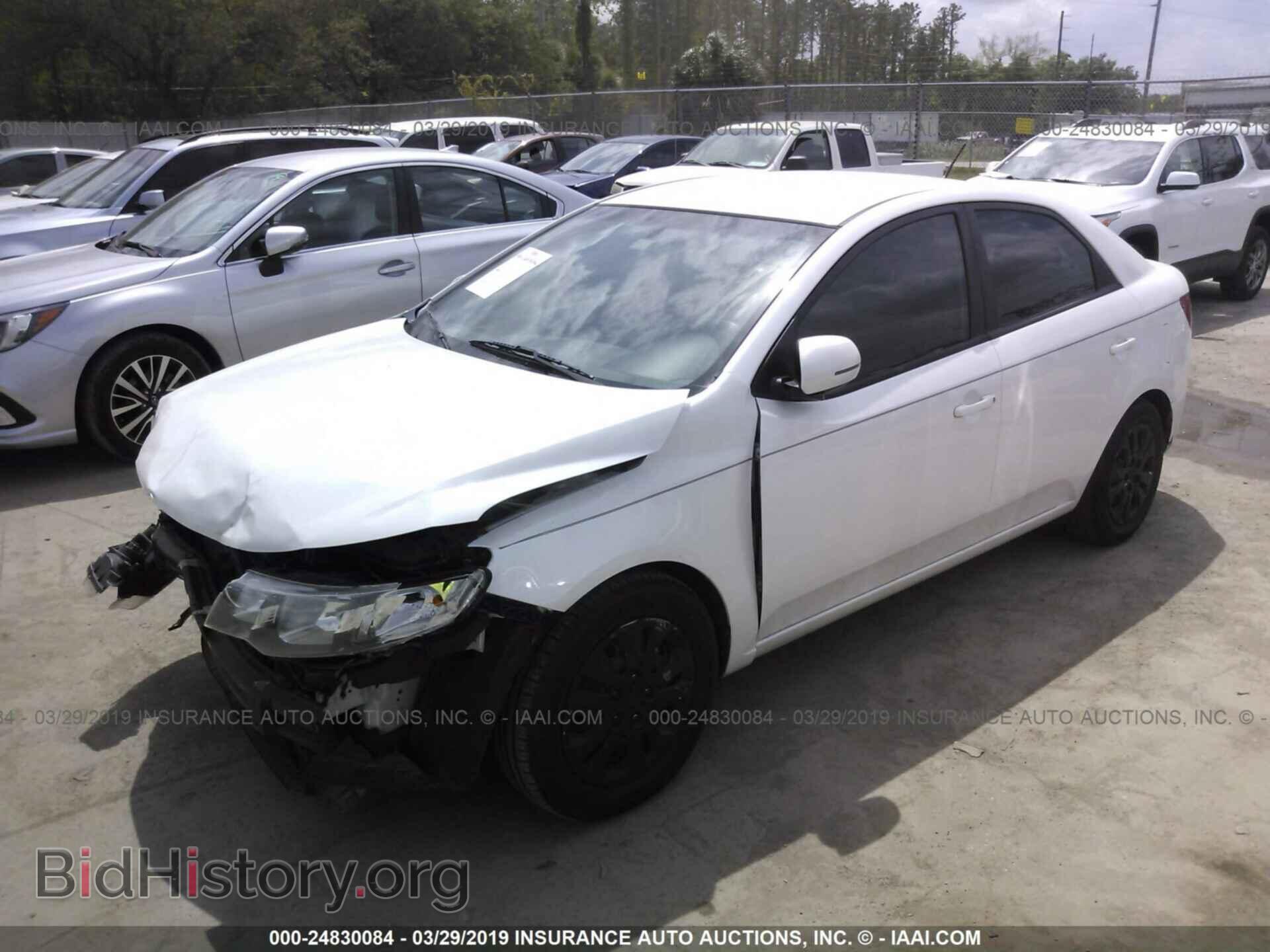2012 KIA FORTE - VIN: KNAFU4A21C5561625 - Фото 2